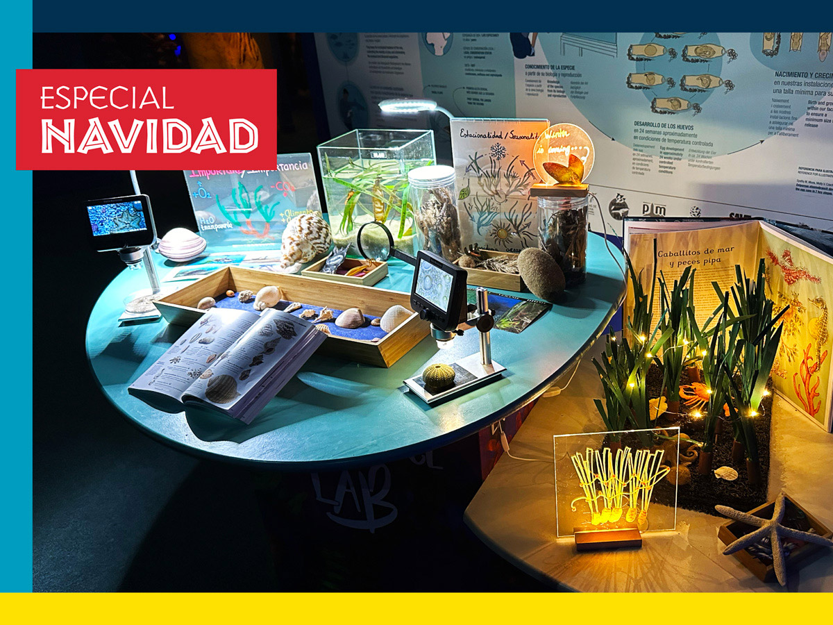 noticias náuticas, actualidad náutica, palma aquarium, navidad, actividades navideñas, actividades m