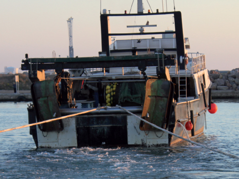 noticias náuticas, actualidad náutica, pesca, sector pesquero, pescadores, restricciones pesqueras, 