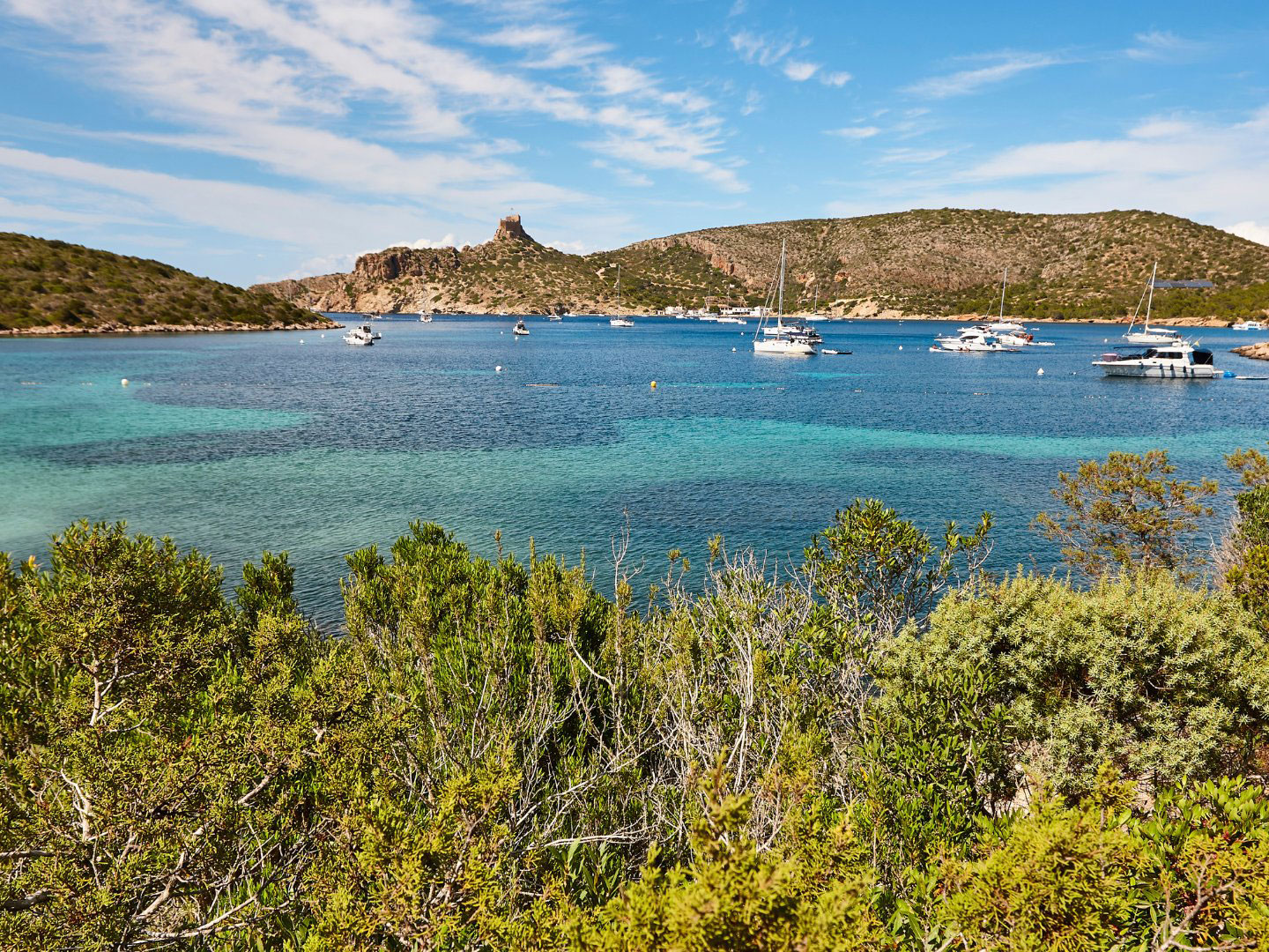 The first edition of the Mallorca Science School arrives to train young scientists