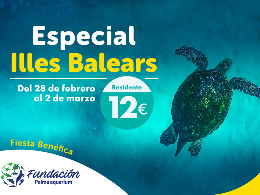 noticias náuticas, actualidad náutica, palma aquarium, fiesta benéfica, som de la mar, proyectos amb