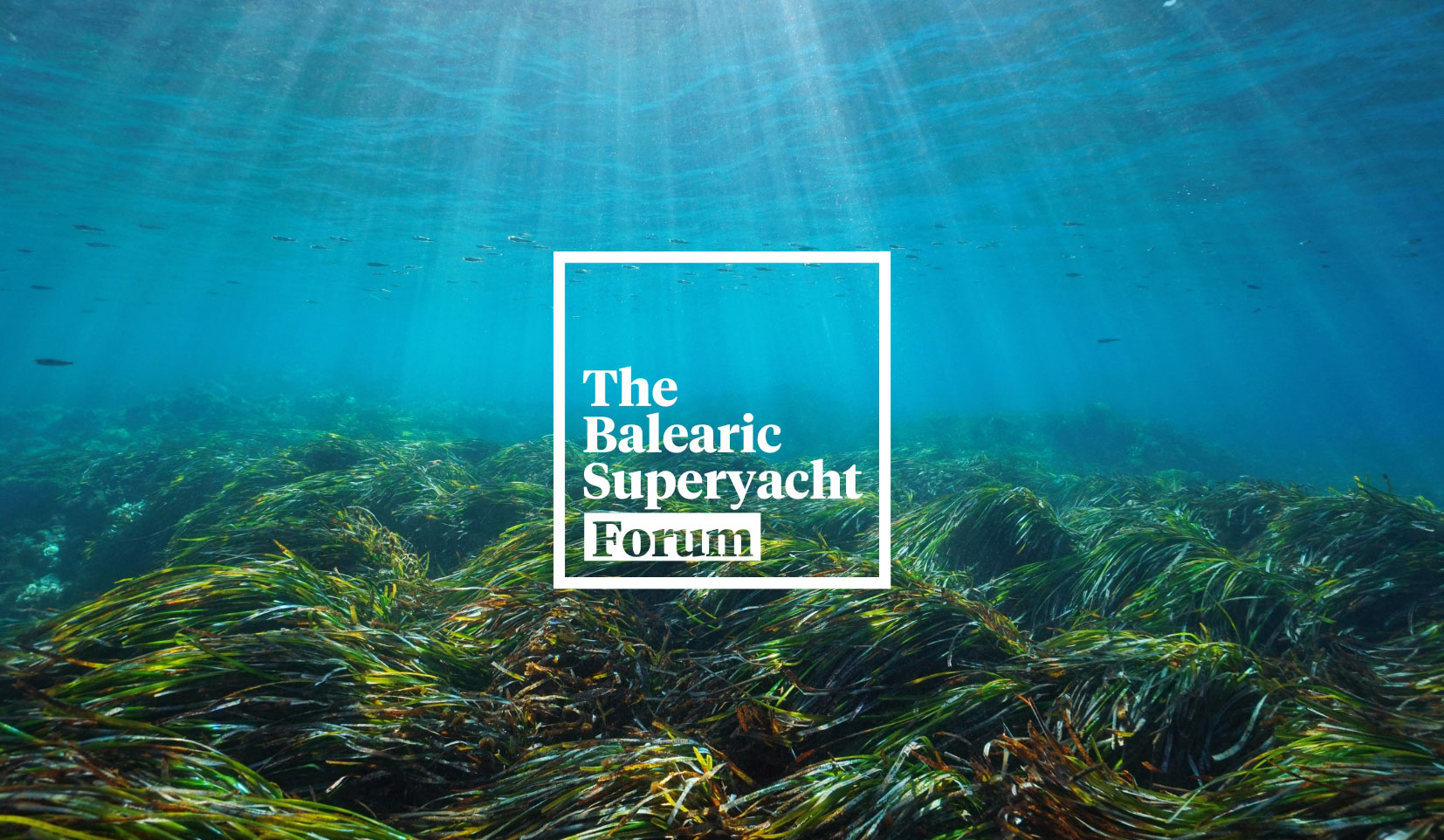 The Balearic Superyacht Forum to reward the most sustainable and innovative startup