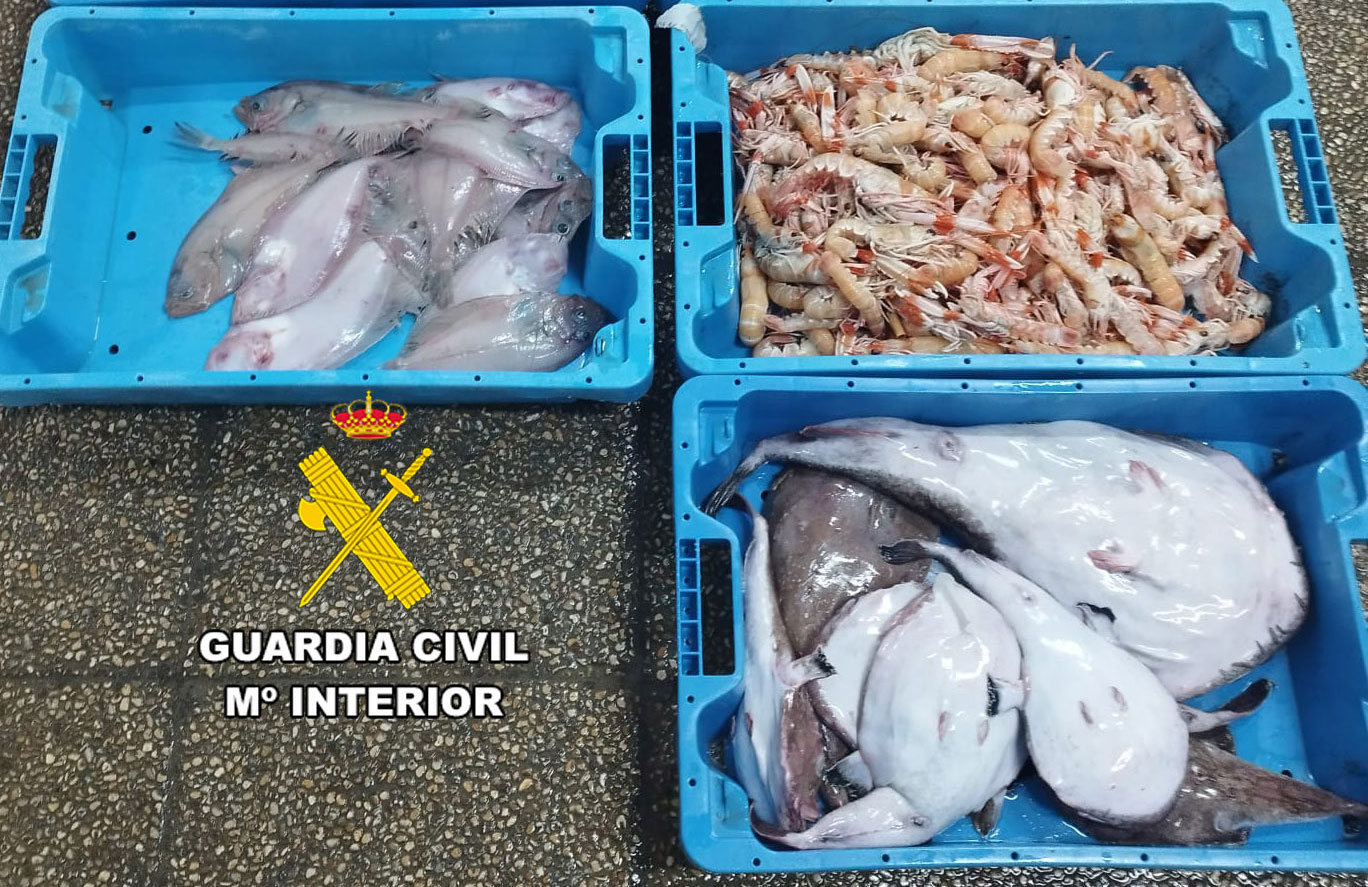 Incautados 33 kilos de pescado y marisco comprado irregularmente en Sant Antoni