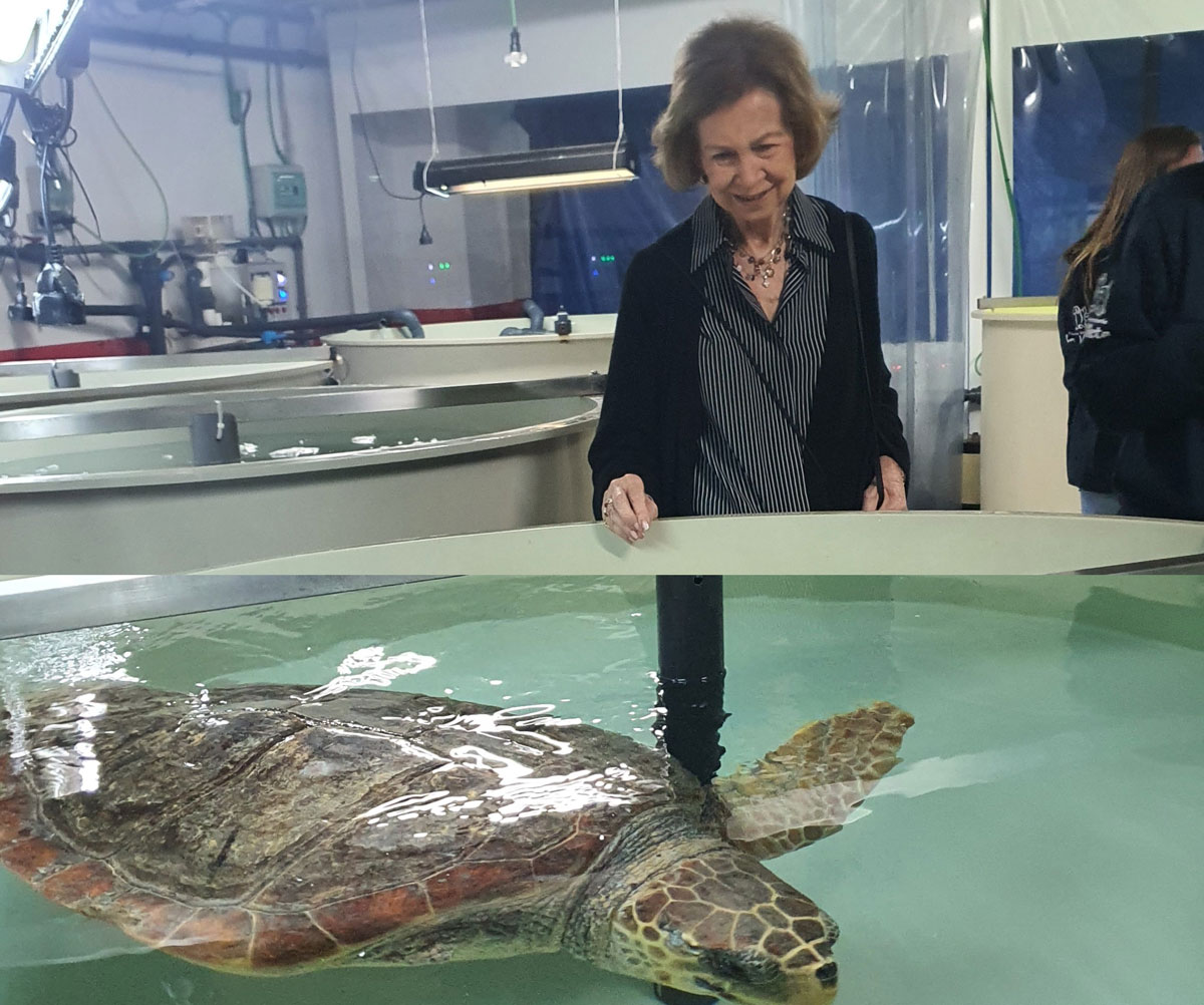 La Fundación Palma Aquarium y la Fundación Reina Sofía colaboran para conservar la fauna marina