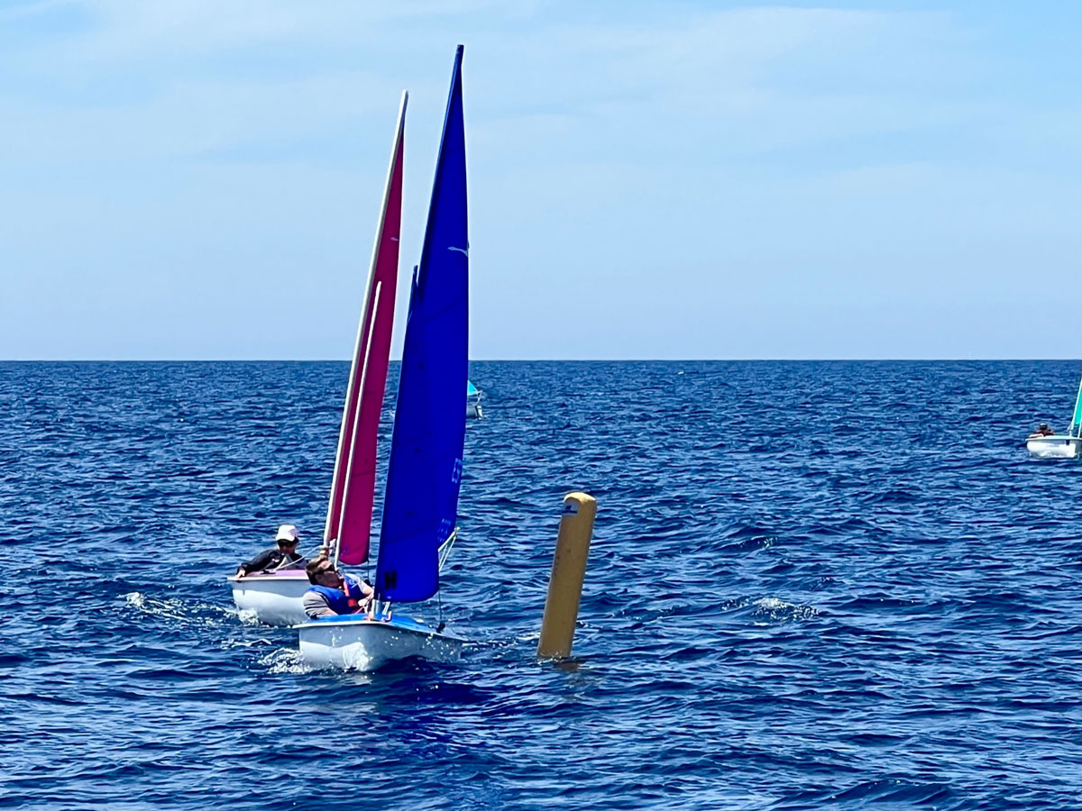 Las tablas inundarán las aguas pitiusas y pollensinas este fin de semana