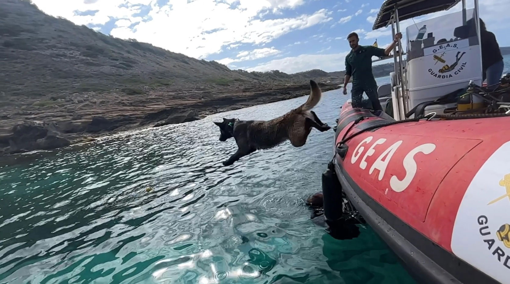 “Hanoi”, un peludo especialista en buscar personas desaparecidas en el mar