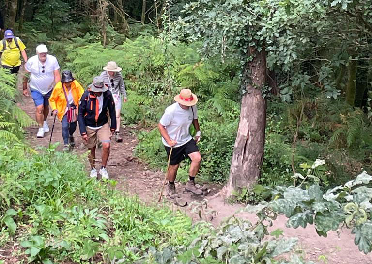 actualidad náutica, noticias náuticas, Camino a vela, Camino de Santiago, vela, regata, millas náuti