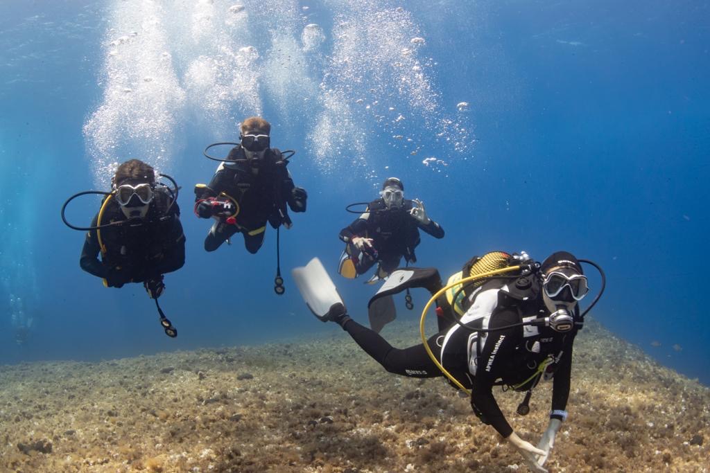 actualidad náutica, noticias náuticas, mallorca dive camp, club nàutic s'arenal, asociación vellmari