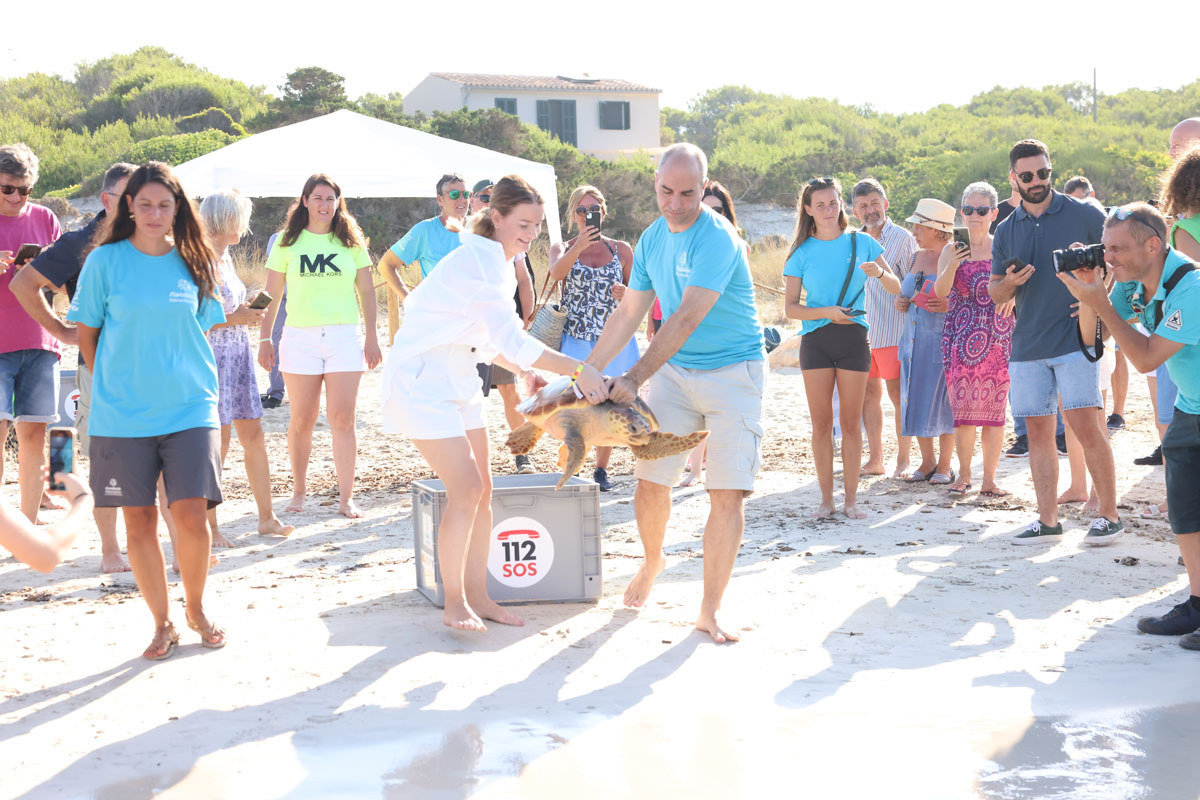 Two marine turtles were released after being treated at the Recovery Center of Palma Aquarium 