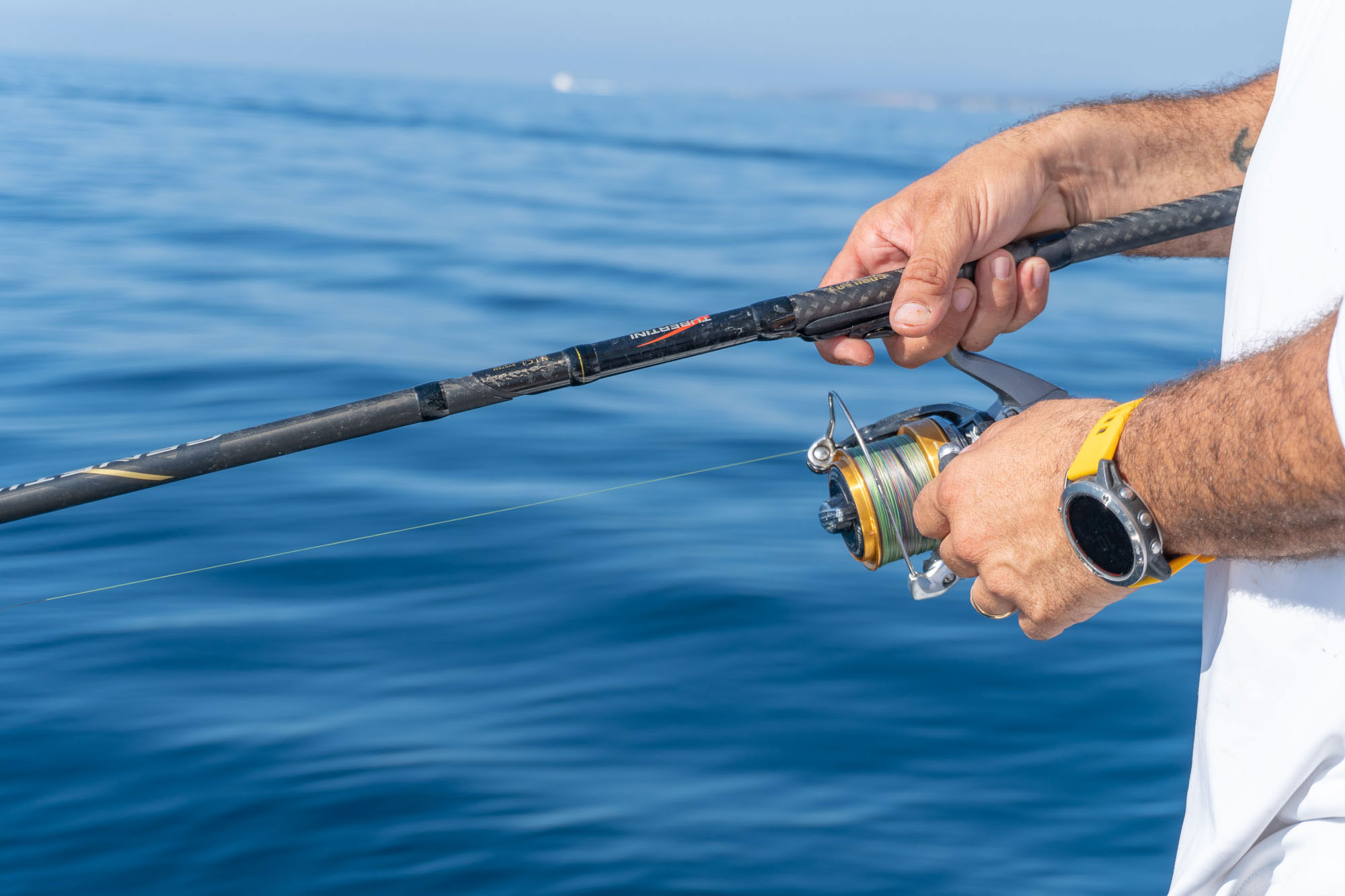 The Ibiza Council incorporates a drone service to monitor the cleaver wrasse fishery