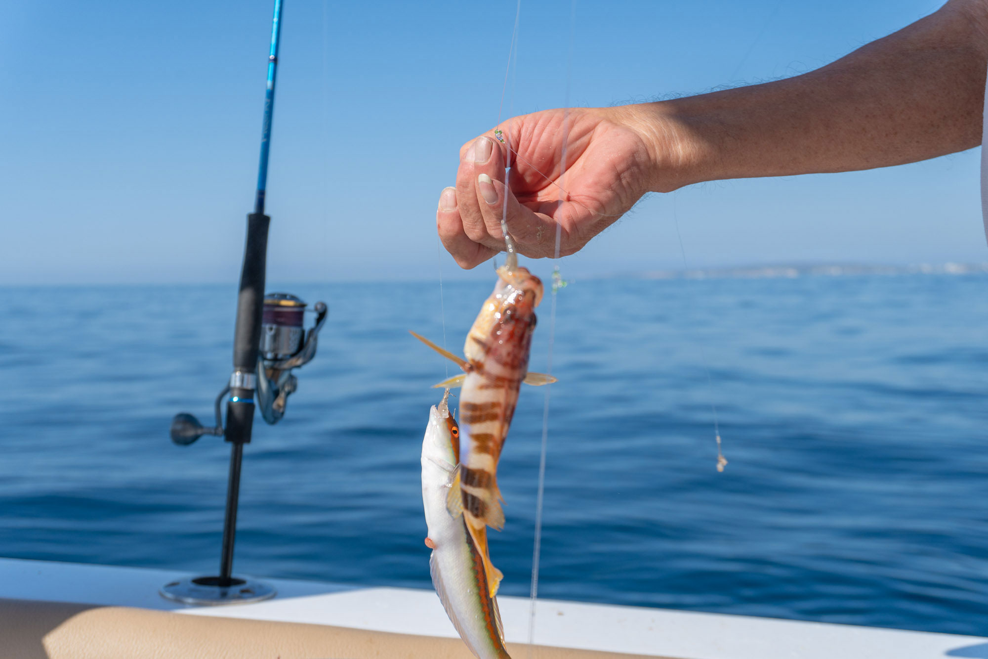 Club Nàutic Portitxol (CNP), pesca, pesca recreativa, escuela, niños, infancia, Asociación Internaci