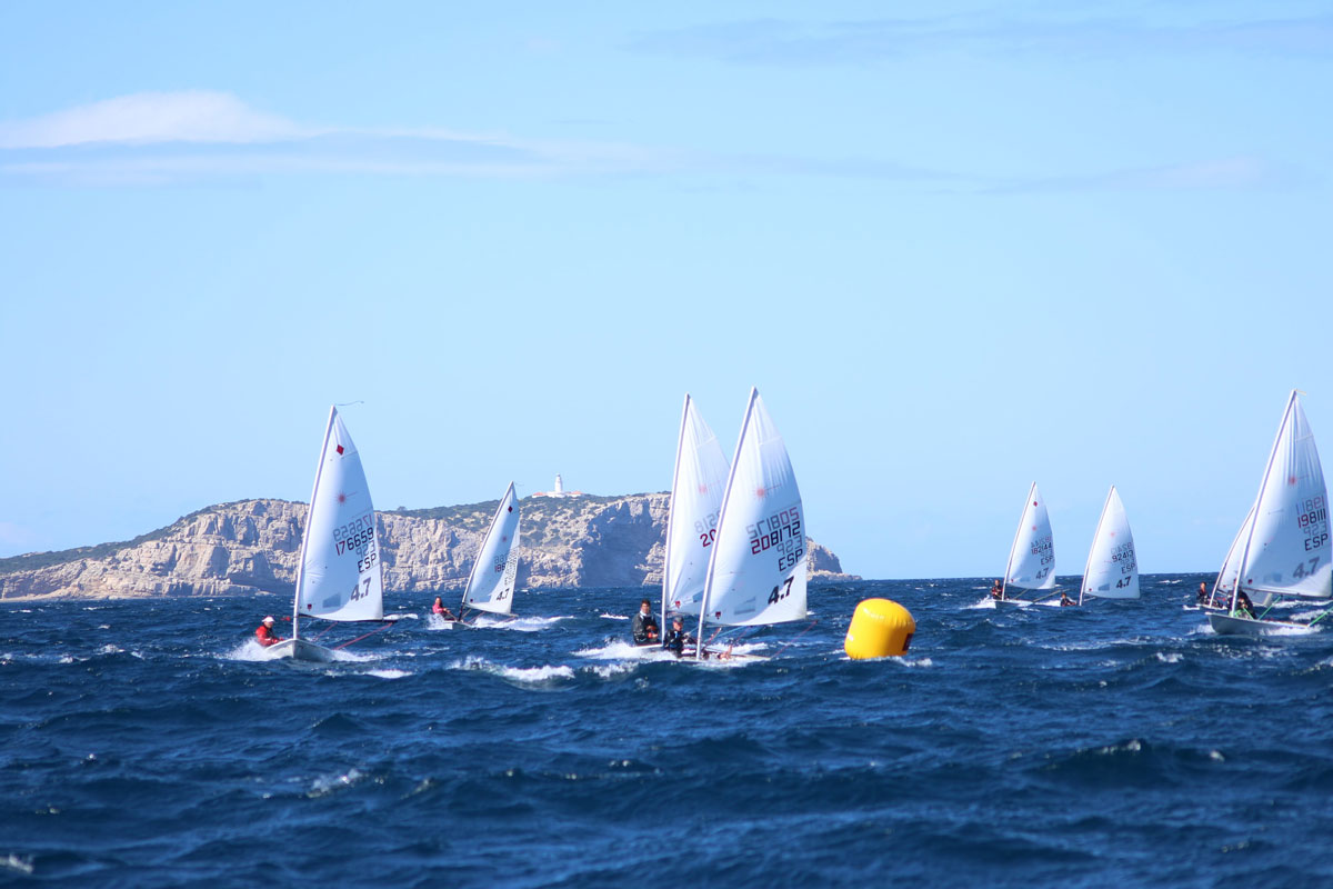 The Copa Federación Neobookings will gather more than a hundred sailors of ILCA 4 and 7 in Ibiza