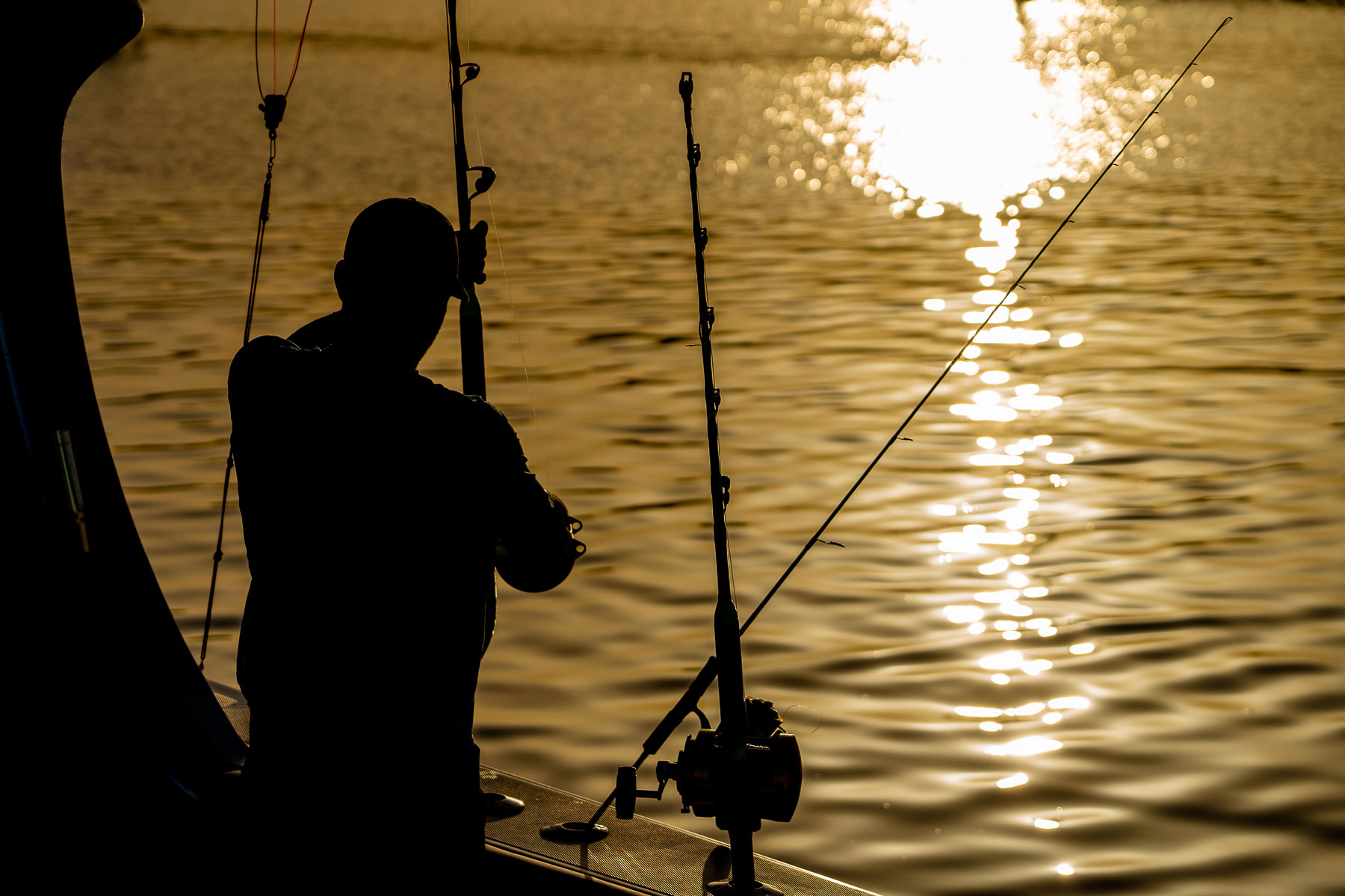 The Balearic Islands sets up the Recreational Fishing Co-management Commission