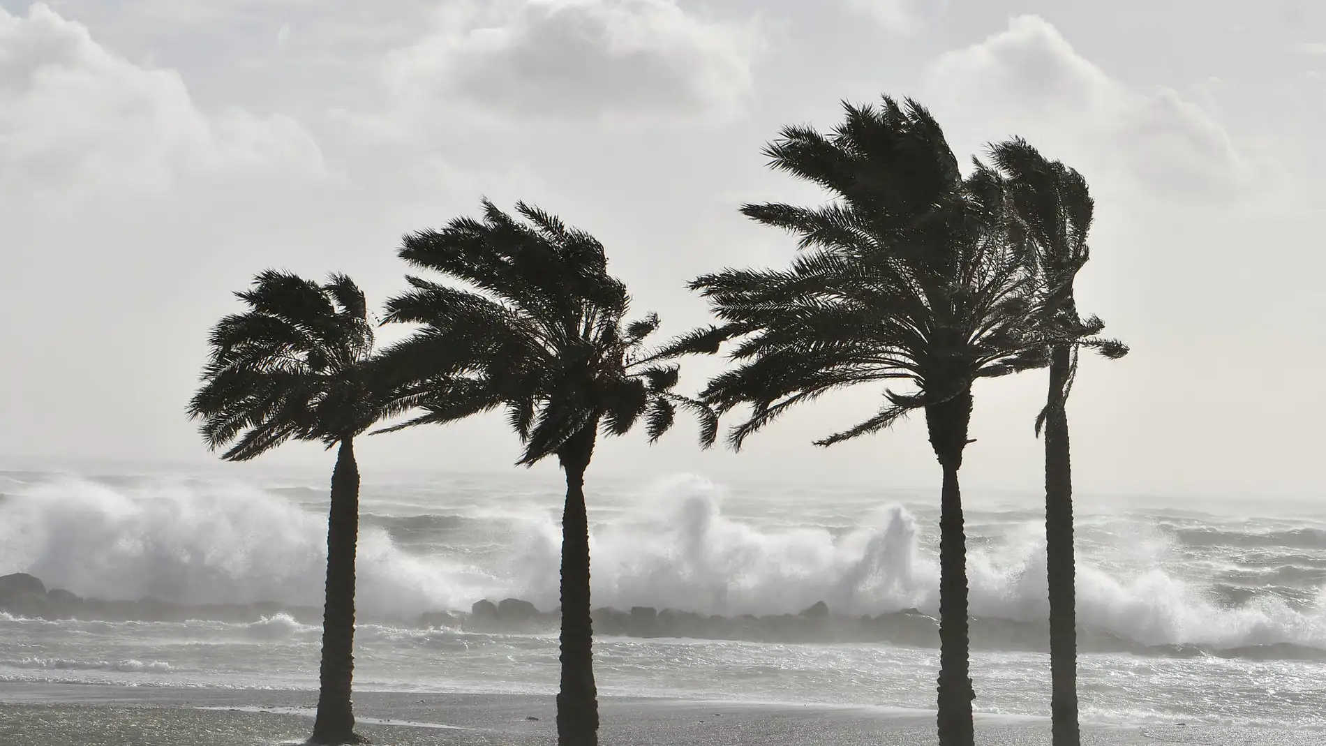 The storm Ciarán leaves strong winds and storm at sea in its passage through the Balearic Islands