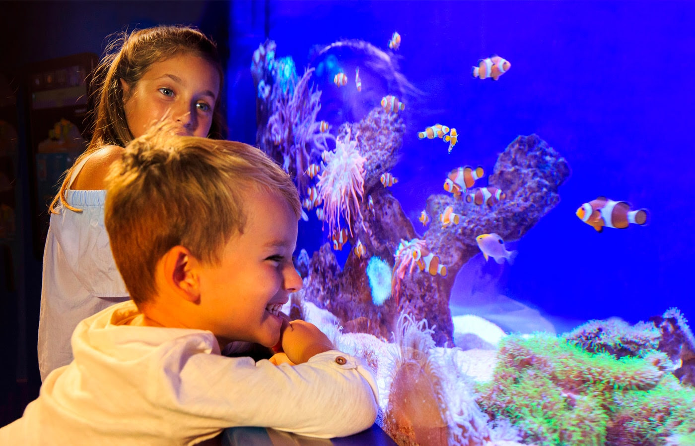 Vuelve la Gran Fiesta Benéfica de Palma Aquarium, este año en favor de la Fundación Asnimo 