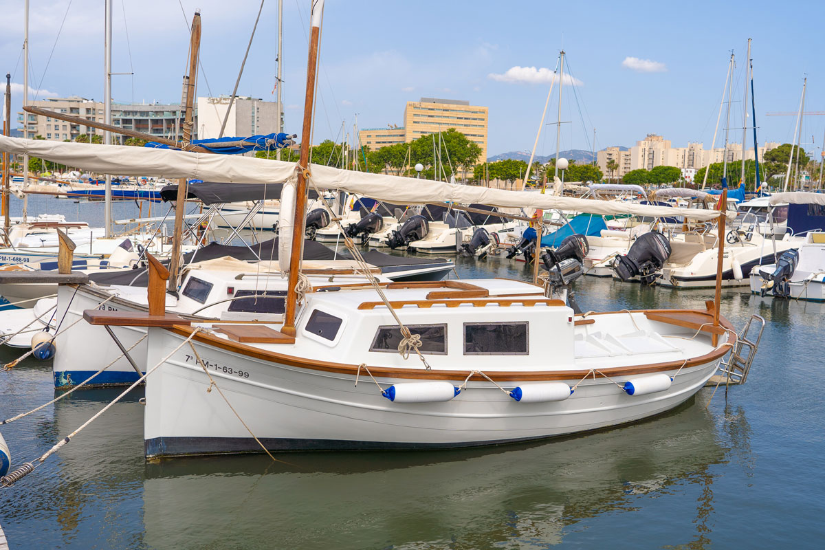 The cruise ships and the lateen sailing have an event at the Club Nautic Portitxol