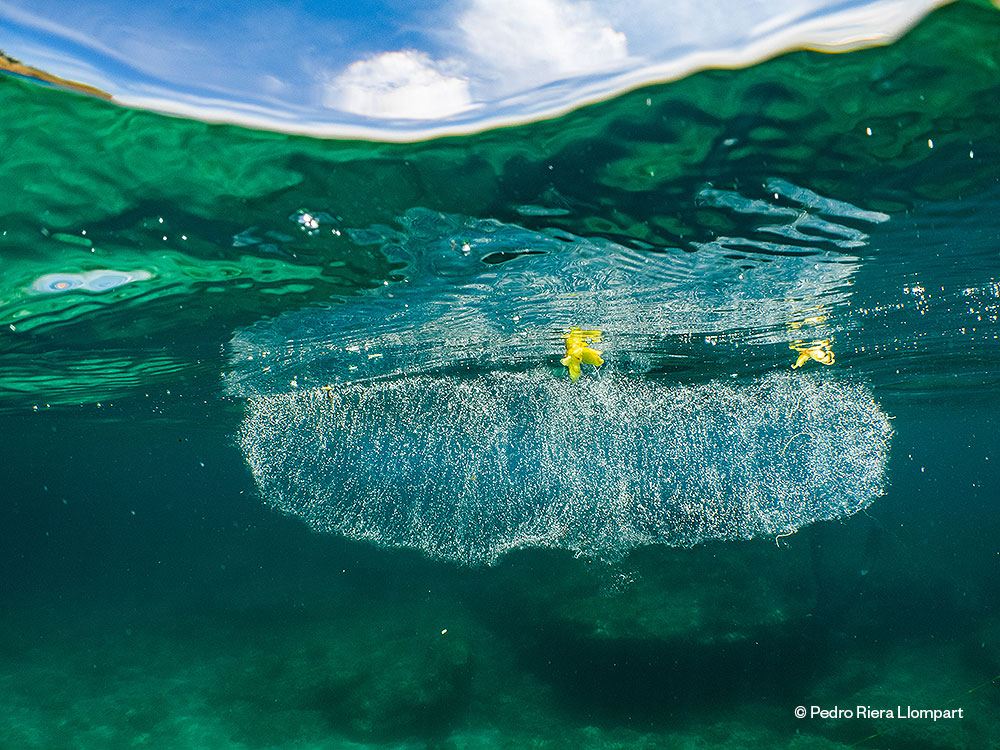 Images to make visible the bottom of the Balearic and Mediterranean sea