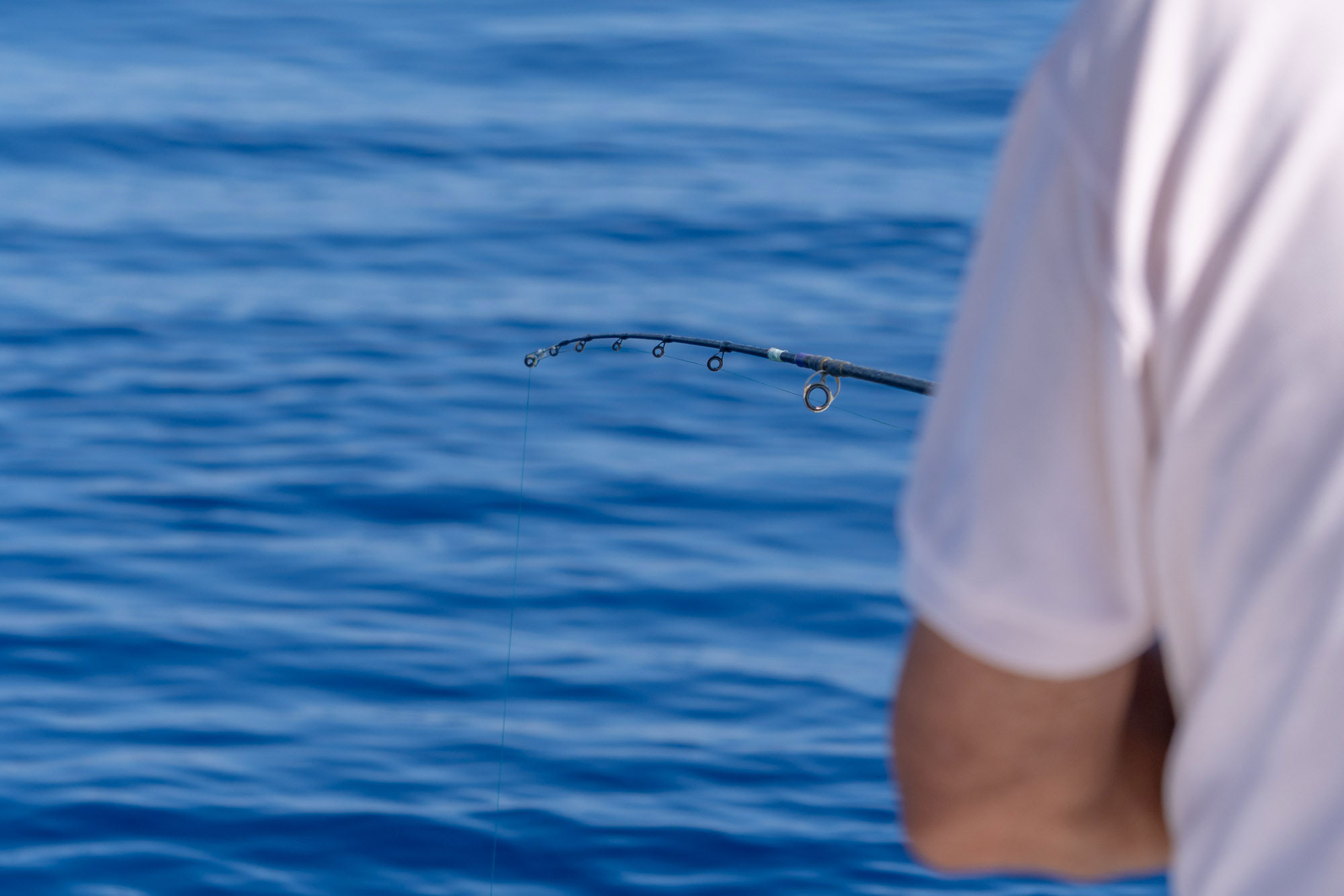 La pesca recreativa balear, por fin, escuchada por la administración