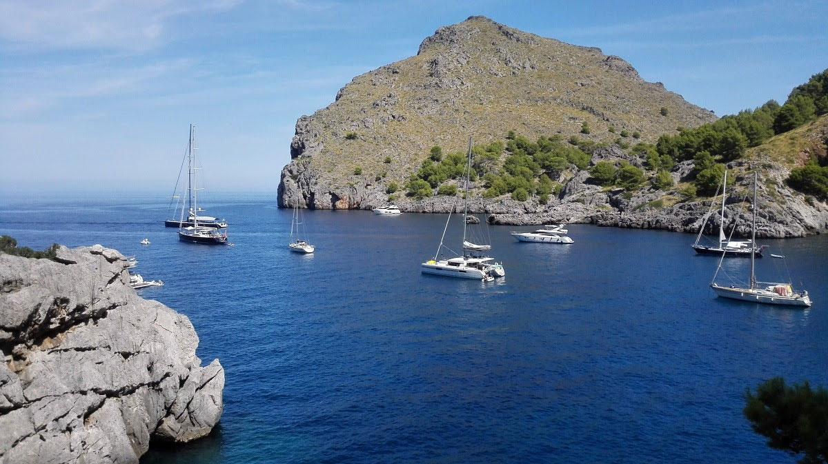 El sector pide a Ports IB tarifas especiales en los campos de boyas para barcos con base en Baleares