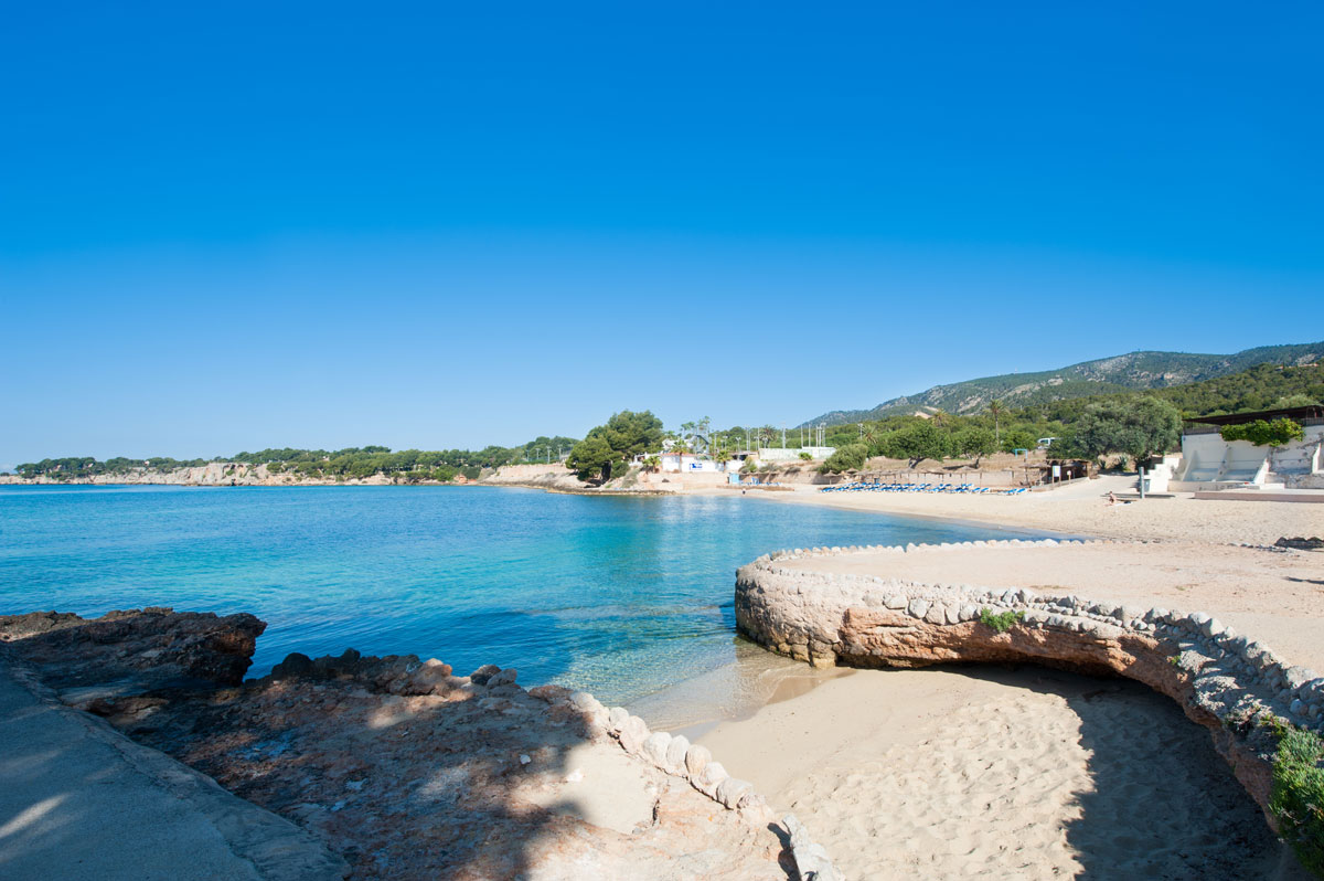 Éxito de participación en el concurso para la licitación de playas de Calvià