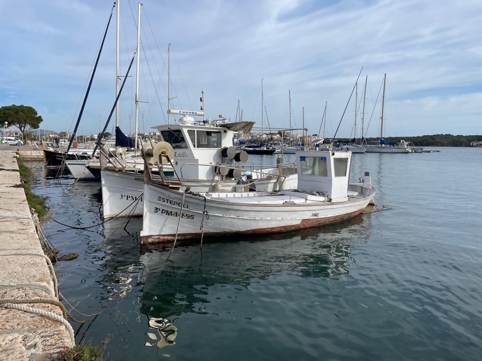 actualidad náutica, noticias náuticas, Fundación Palma Aquarium, pescadores, Baleares, Mallorca, con