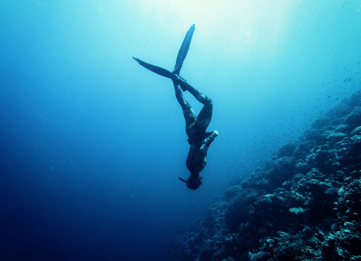 Everything ready for the Balearic Islands Spearfishing Championship by teams