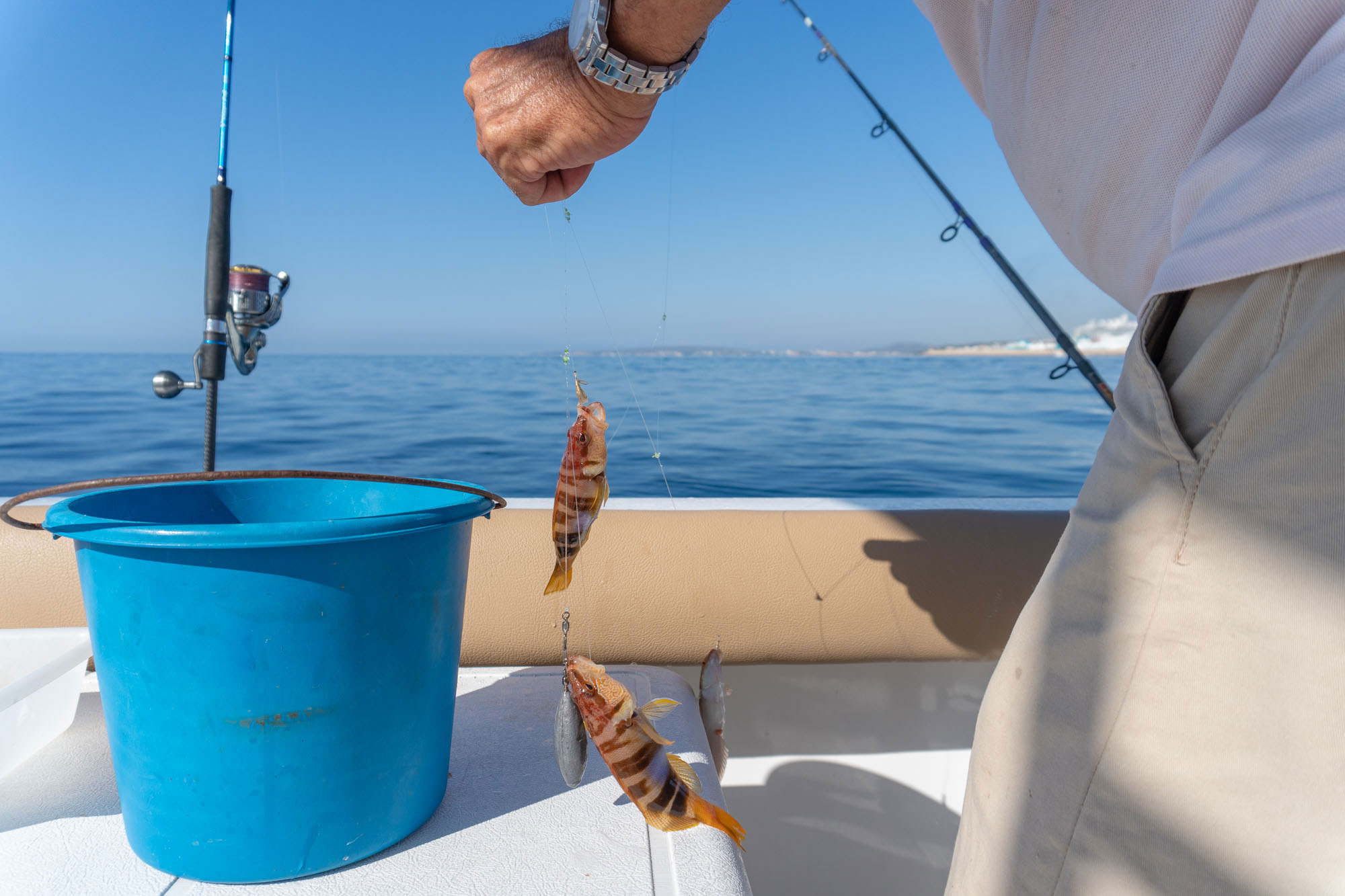 Campaña de control e inspección en redes sociales ante el aumento de casos de pesca ilegal