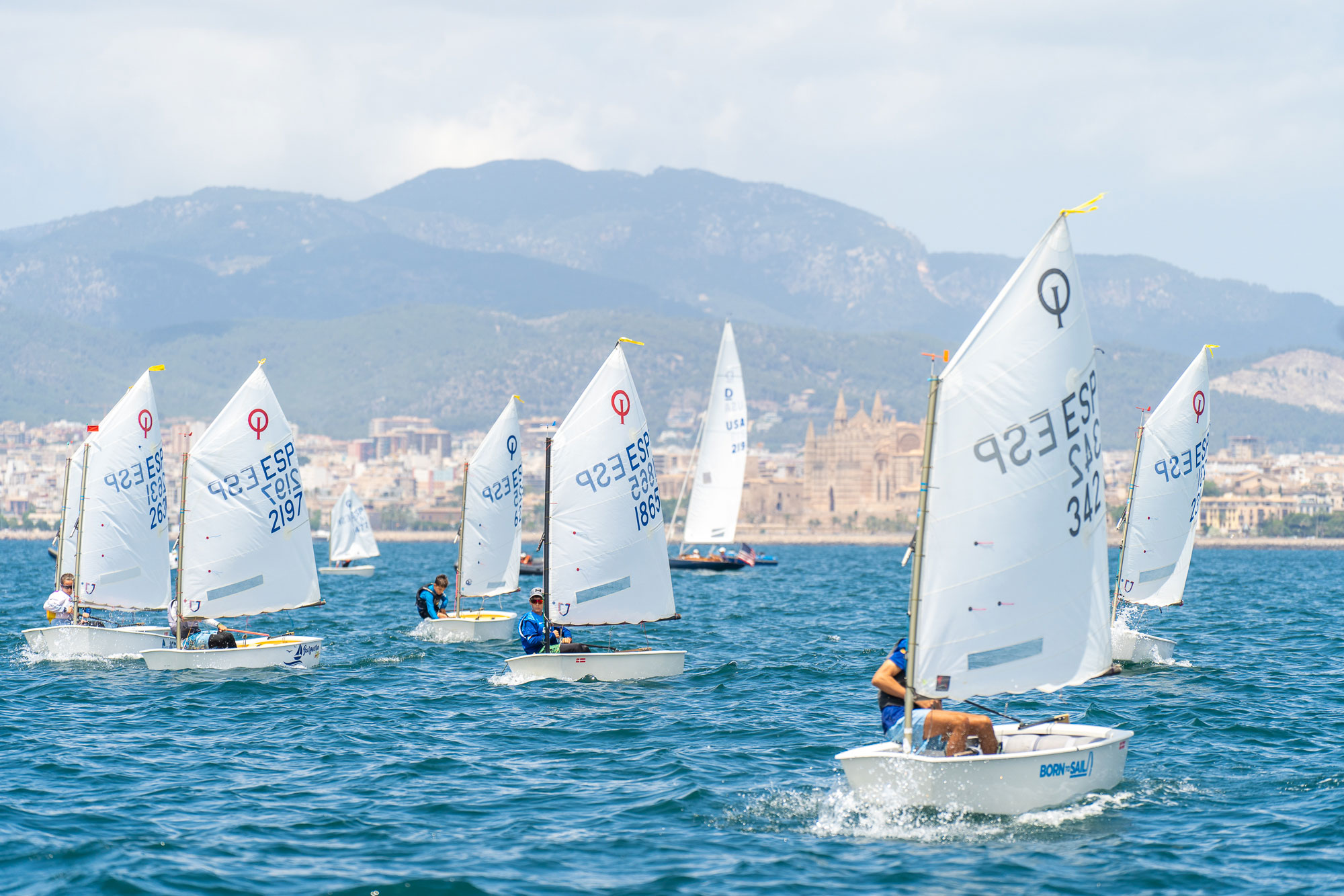 Multitudinario Trofeo Mama Optimist en su 45ª edición en el Club Nàutic Portitxol