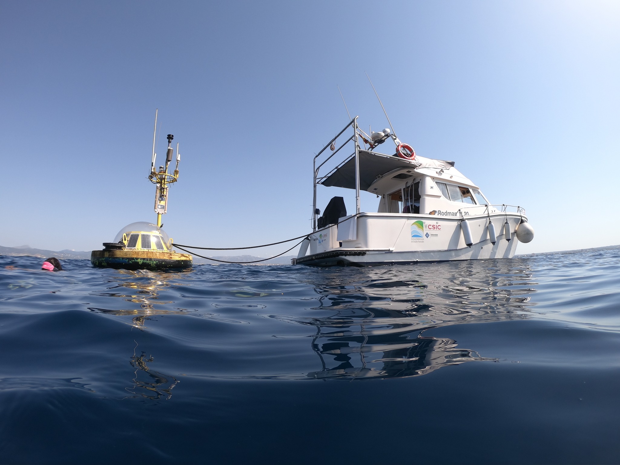 Salud Deudero, nueva delegada institucional del CSIC en las Islas Baleares