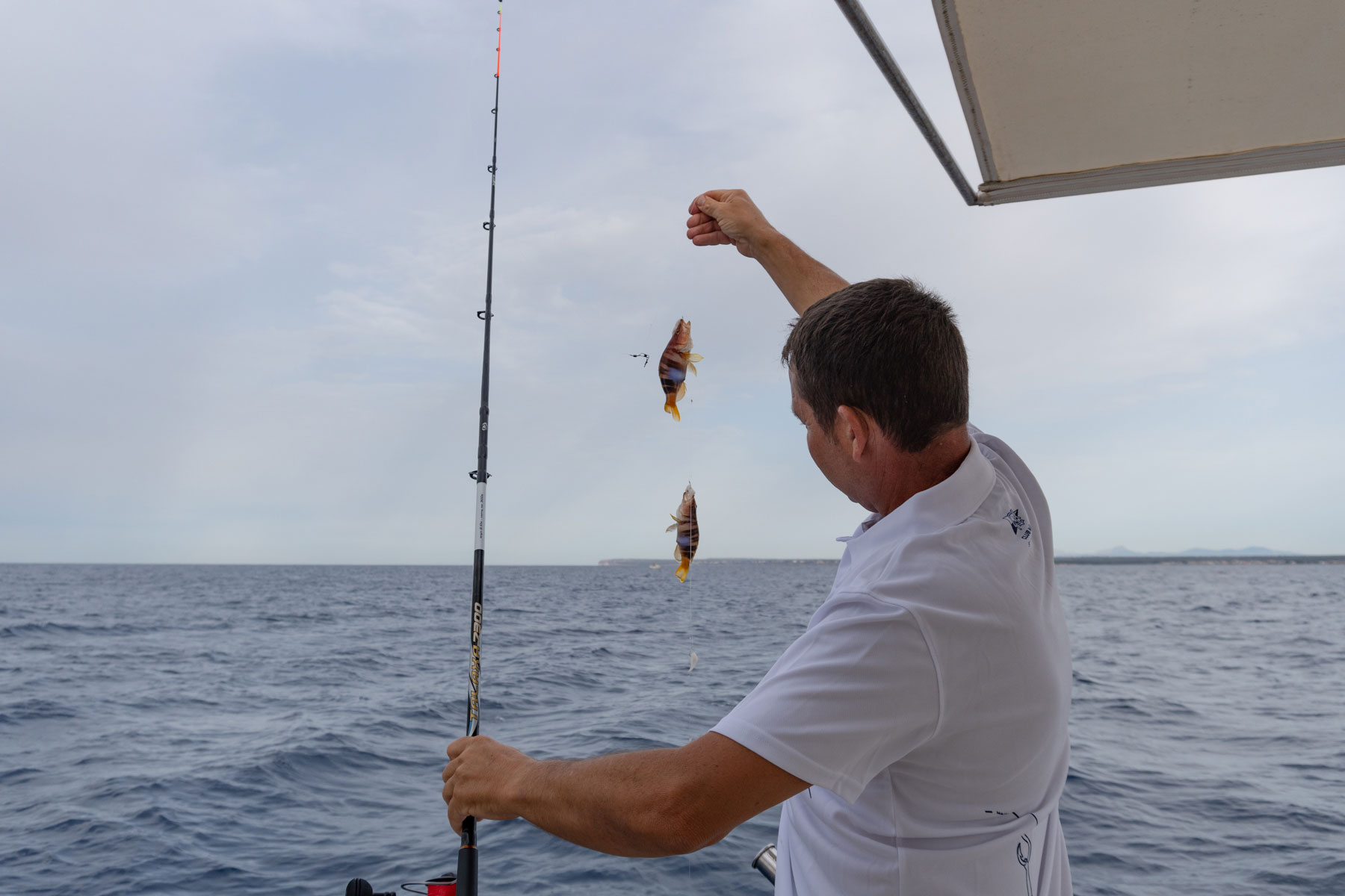 Magnífica jornada de pesca en la Trobada de  Roquer del Club Nàutic Sa Ràpita