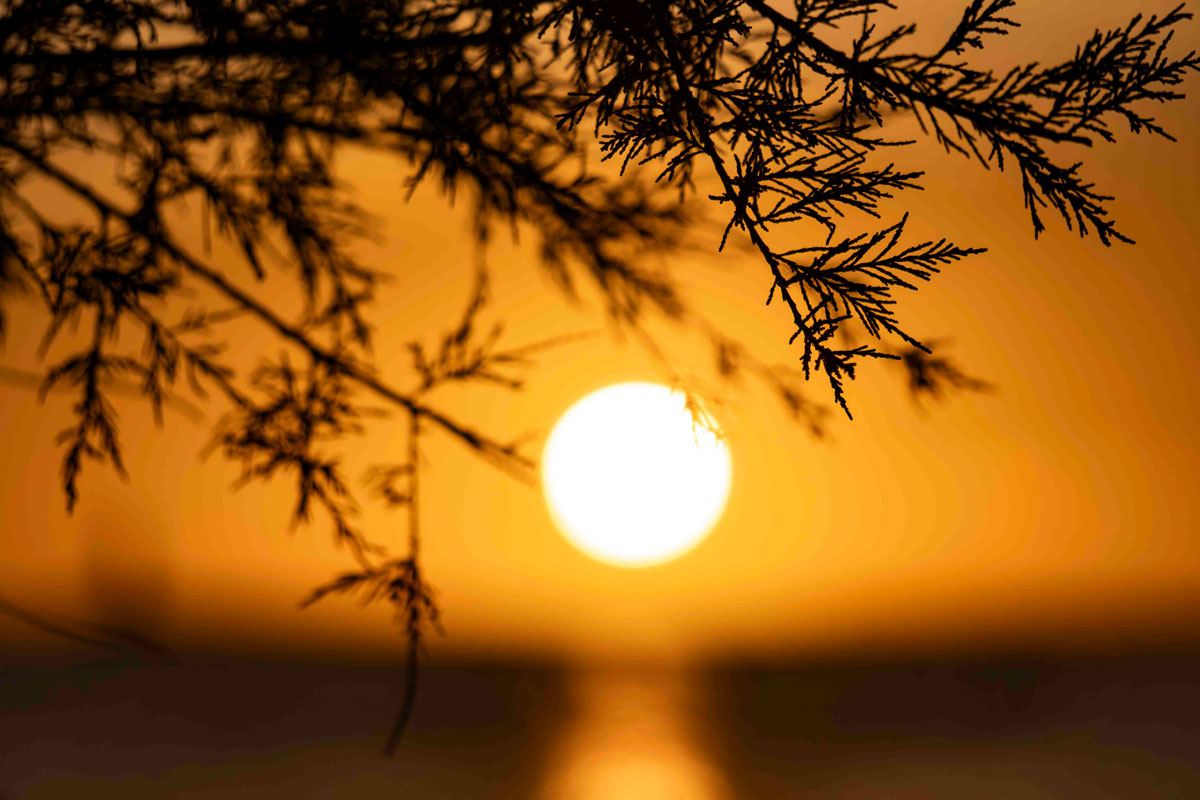 Una empresa intenta hacer negocio con la puesta de sol de Ibiza y acaba sancionada