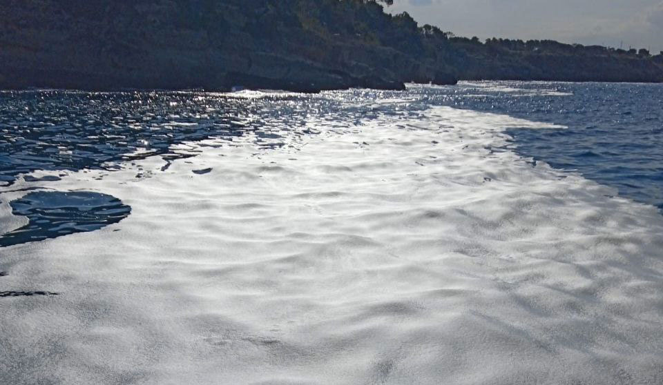 En solo dos meses se han recogido más de nueve toneladas de residuos del mar balear