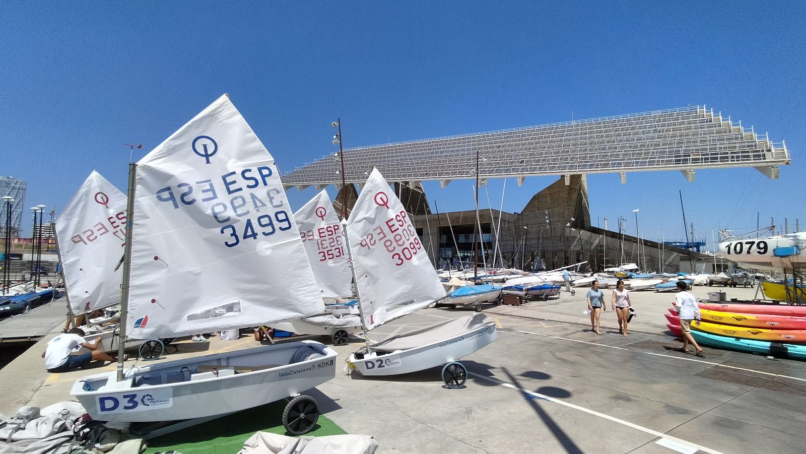 The Best Balearic Optimist Fleet Gathers at the Spanish Championships by Regions