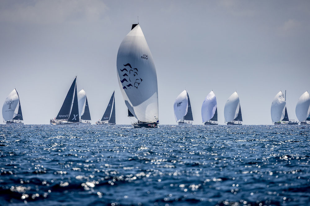 Siete equipos monotipos ClubSwan 42 y ClubSwan 50 confirman su participación en la Copa del Rey MAPF