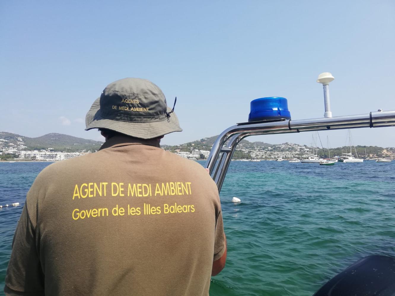 El Govern interviene en Talamanca para evitar los fondeos sobre posidonia