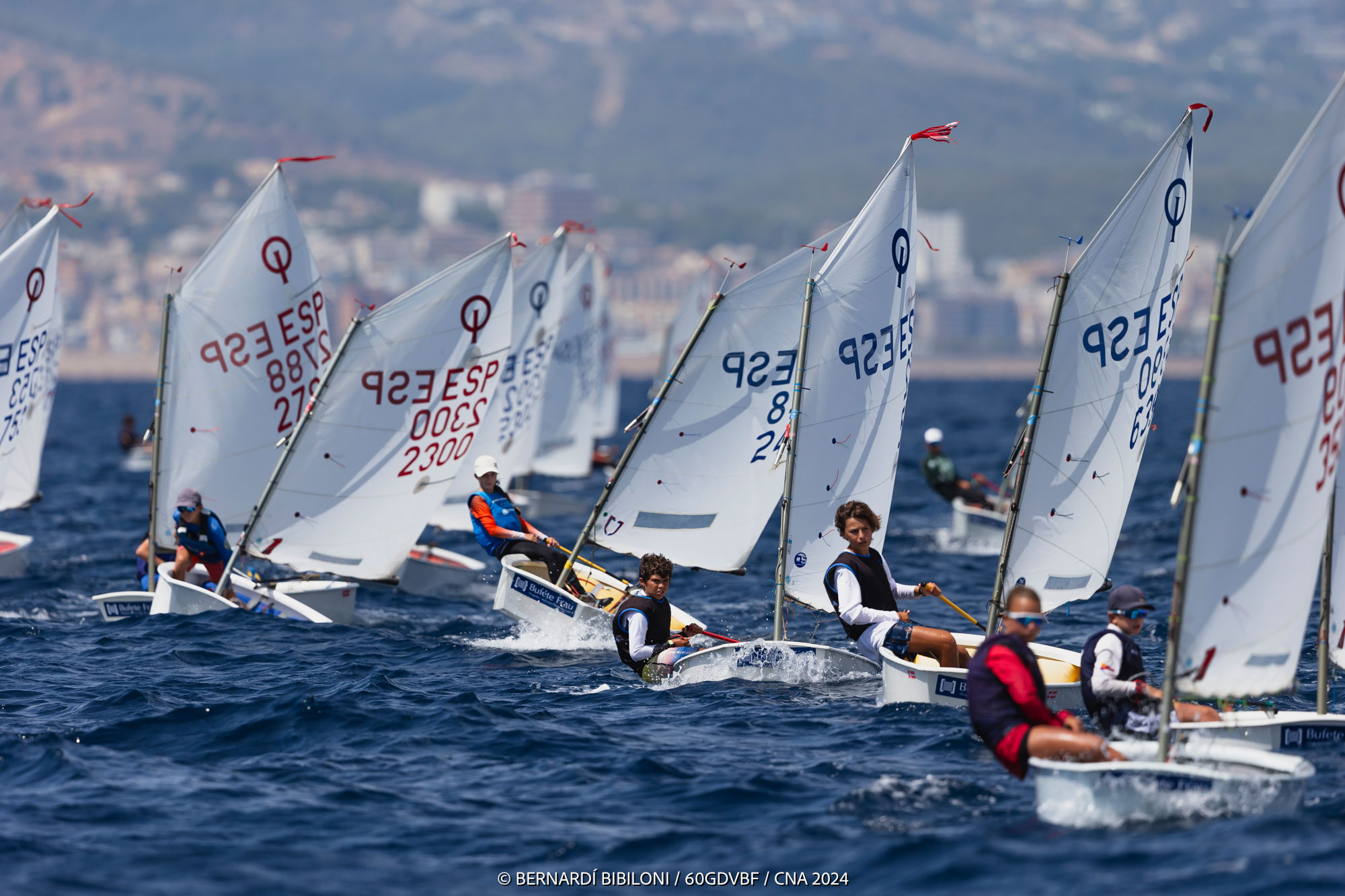 Baño de multitudes a las puertas de la jornada cumbre del 60º Gran día de la Vela - Bufete Frau