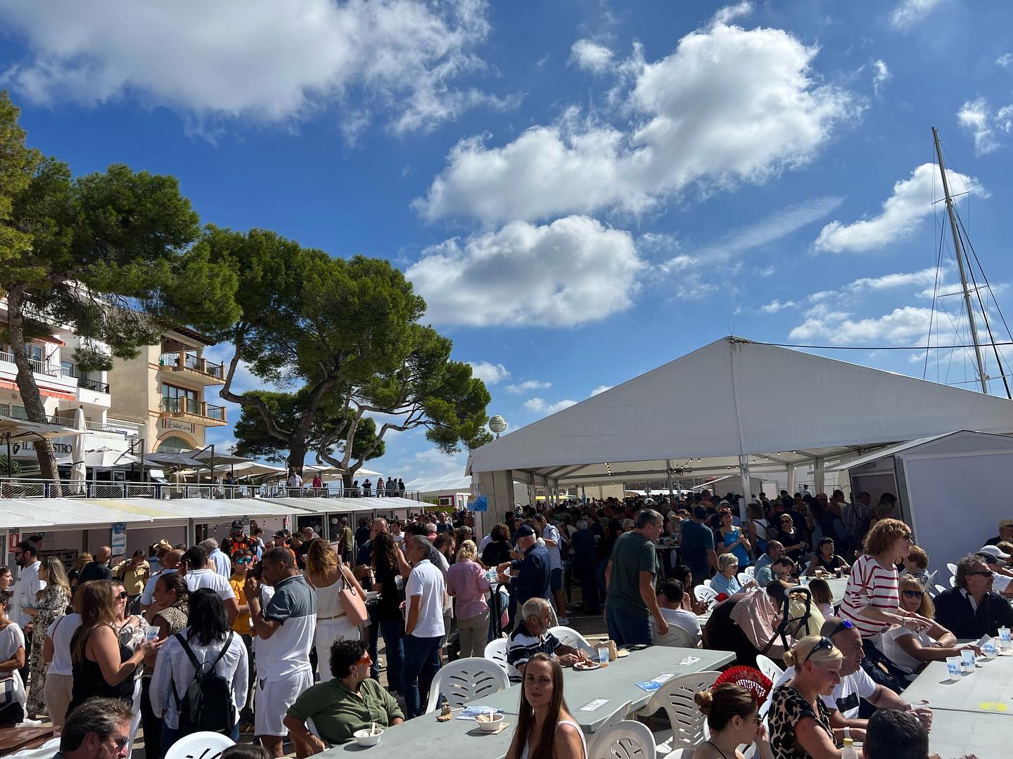 actualidad náutica, noticias náuticas, mostra de la llampuga, cala ratjada, llampuga, pescado, feria