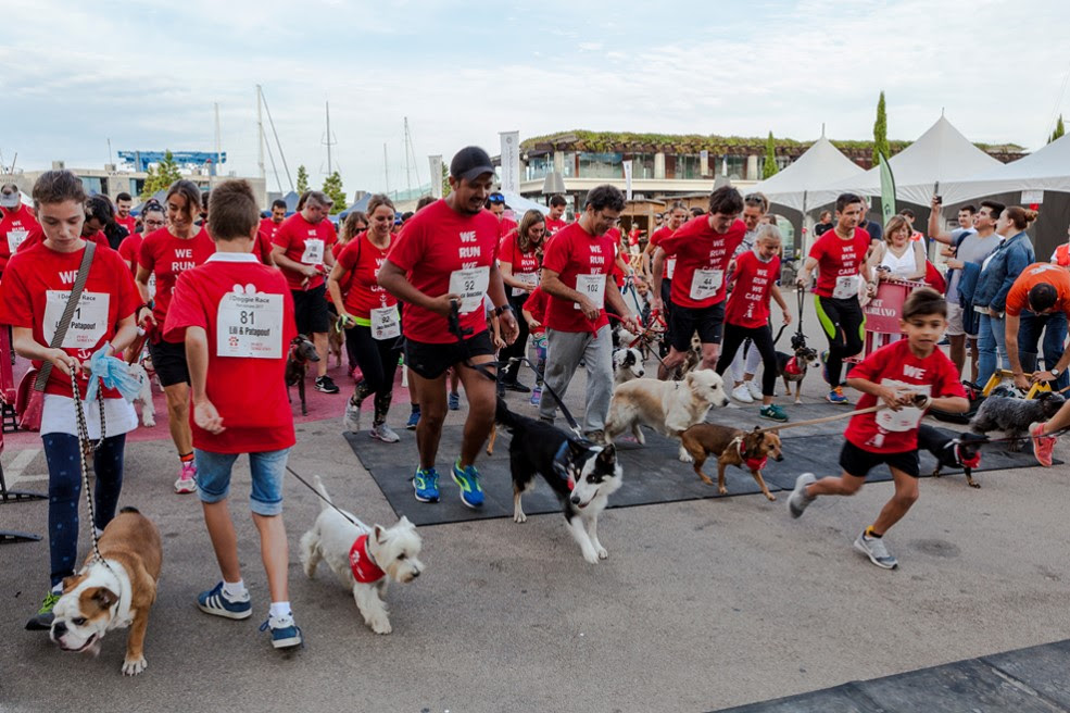 The Furry Ones Take Over Port Adriano