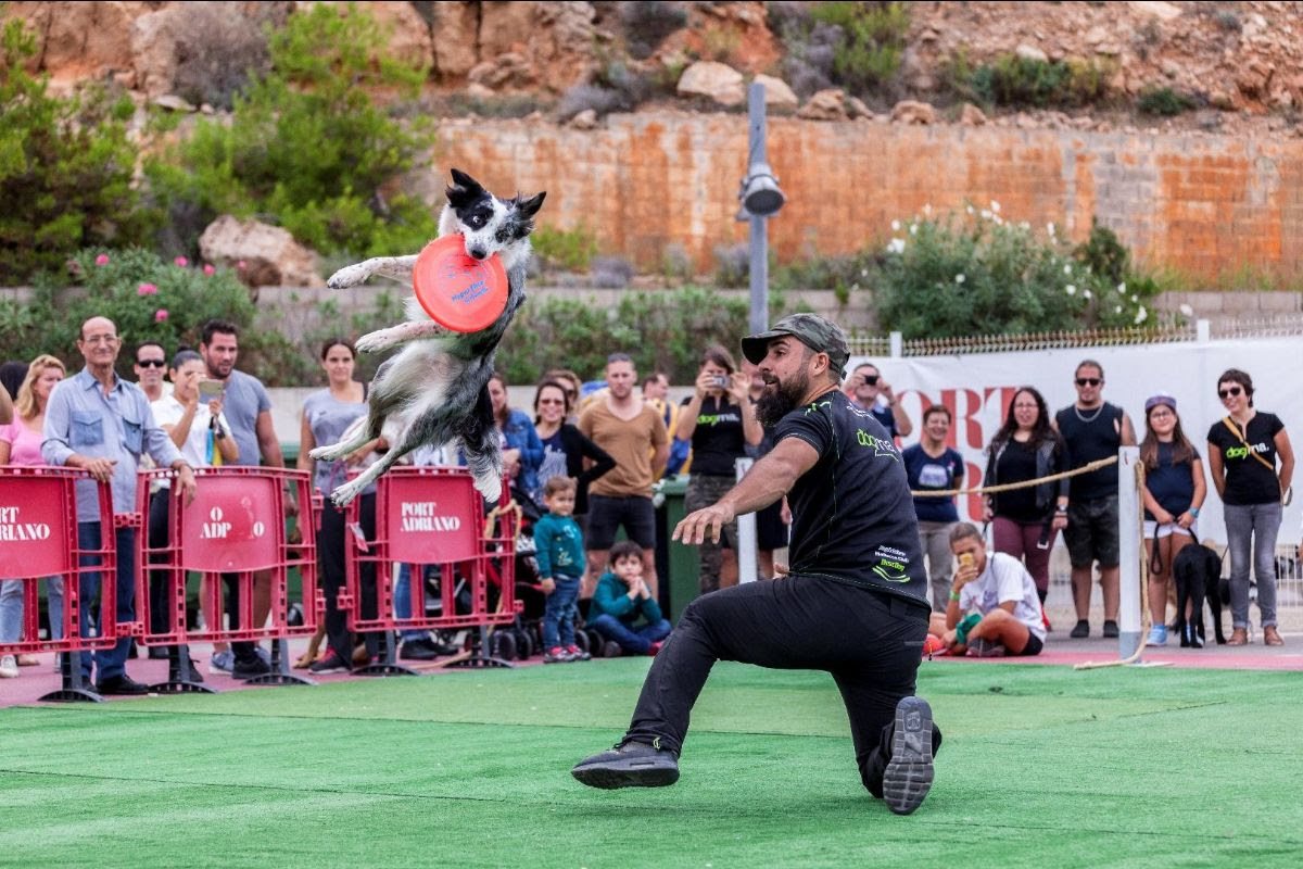 actualidad náutica, noticias náuticas, port adriano, doggie race, carrera perruna, marina, deporte, 