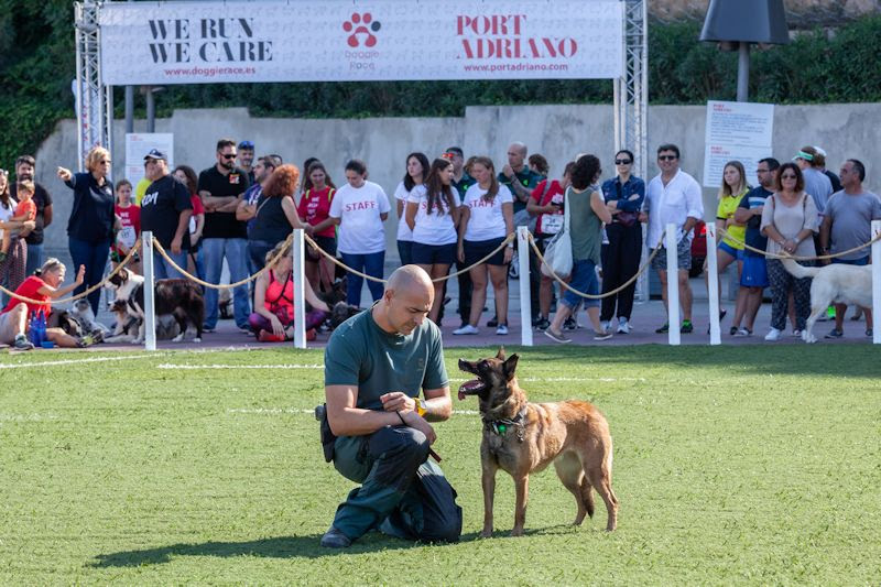 actualidad náutica, noticias náuticas, port adriano, doggie race, carrera perruna, marina, deporte, 