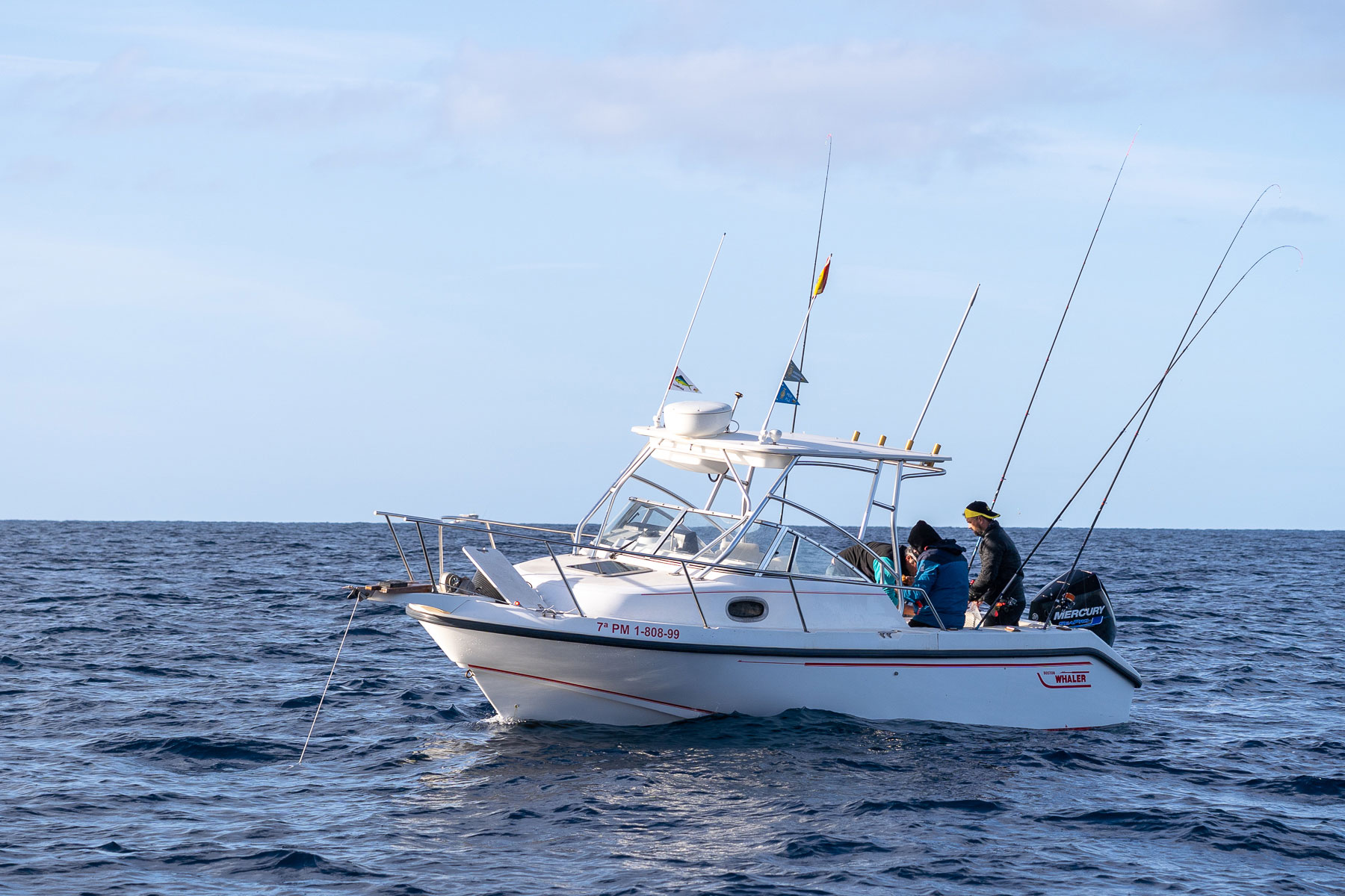 ACTUAlidad náutica, noticias náuticas, campeonato baleares, pesca, embarcación fondeada, club nàutic