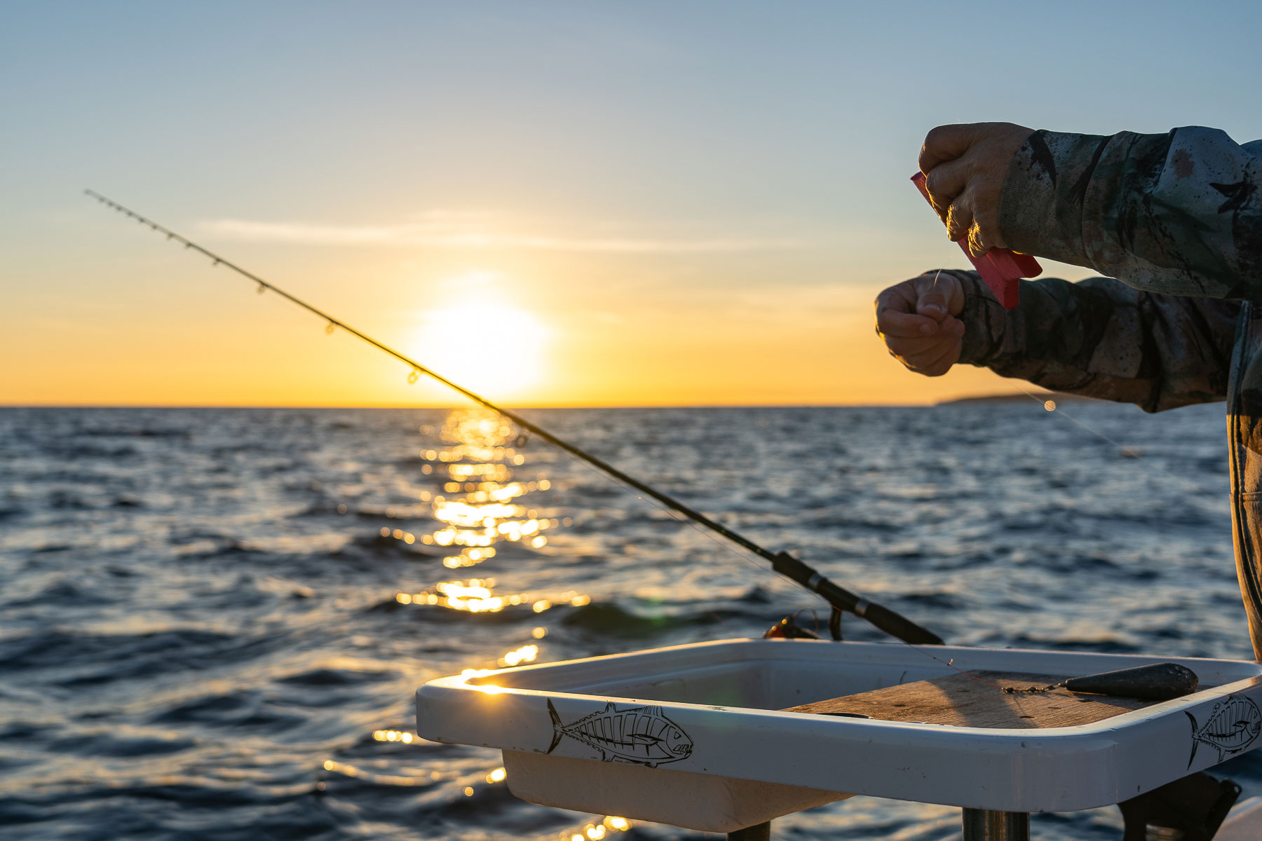 The Government Sets Daily Catch Quotas for Recreational Fishing of Certain Species