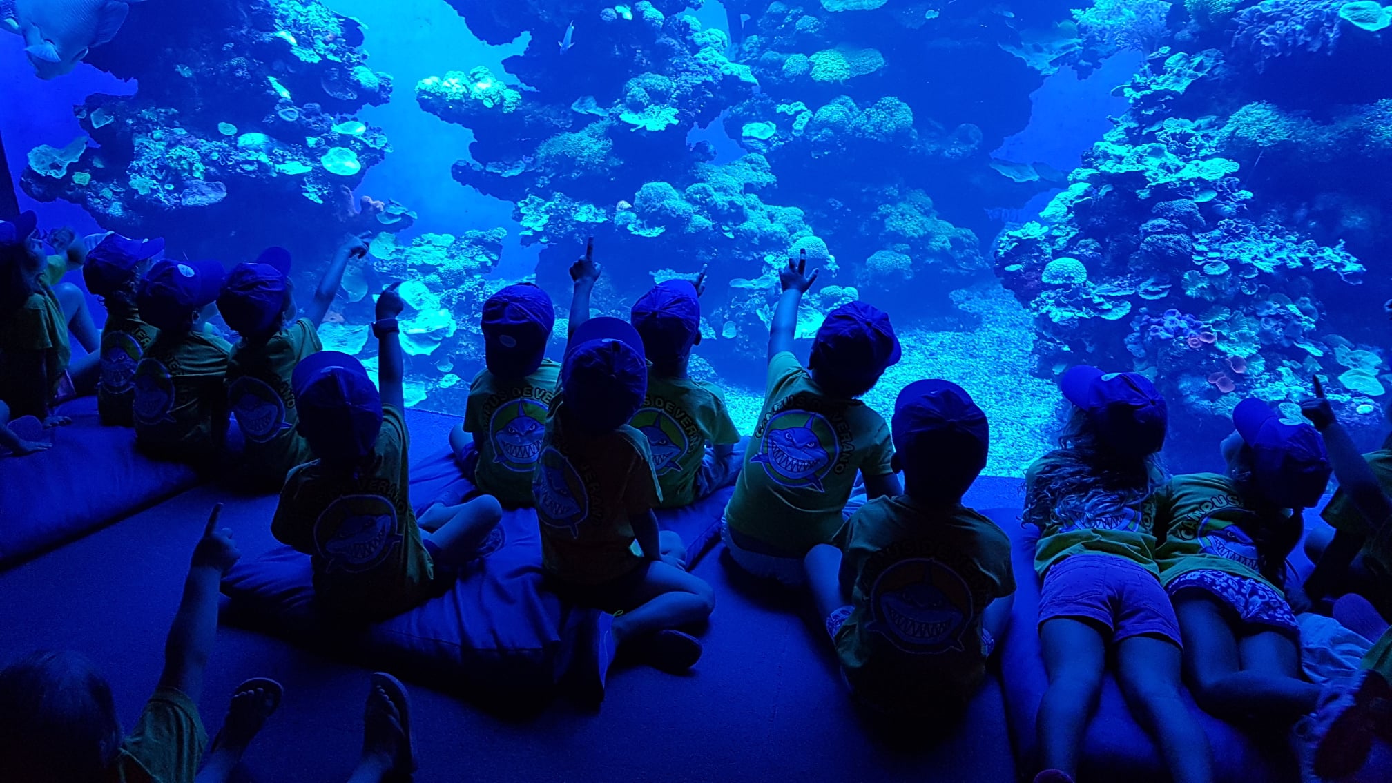 palma aquarium, acto benéfico, fibrosis quística, fundación respiralia, solidaridad, educación, salu