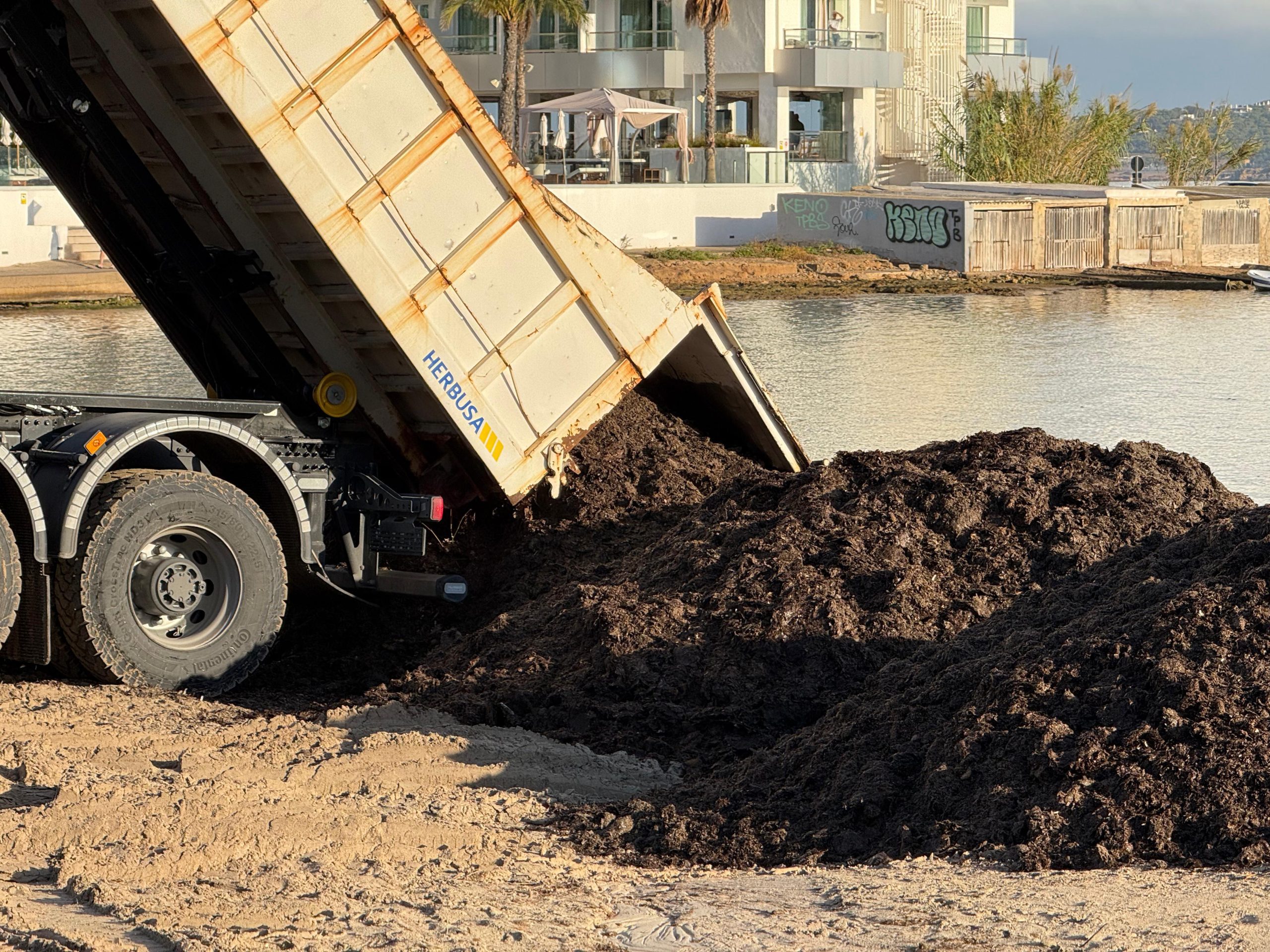 actualidad náutica, noticias náuticas, sant josep, posidonia, medio ambiente, litoral