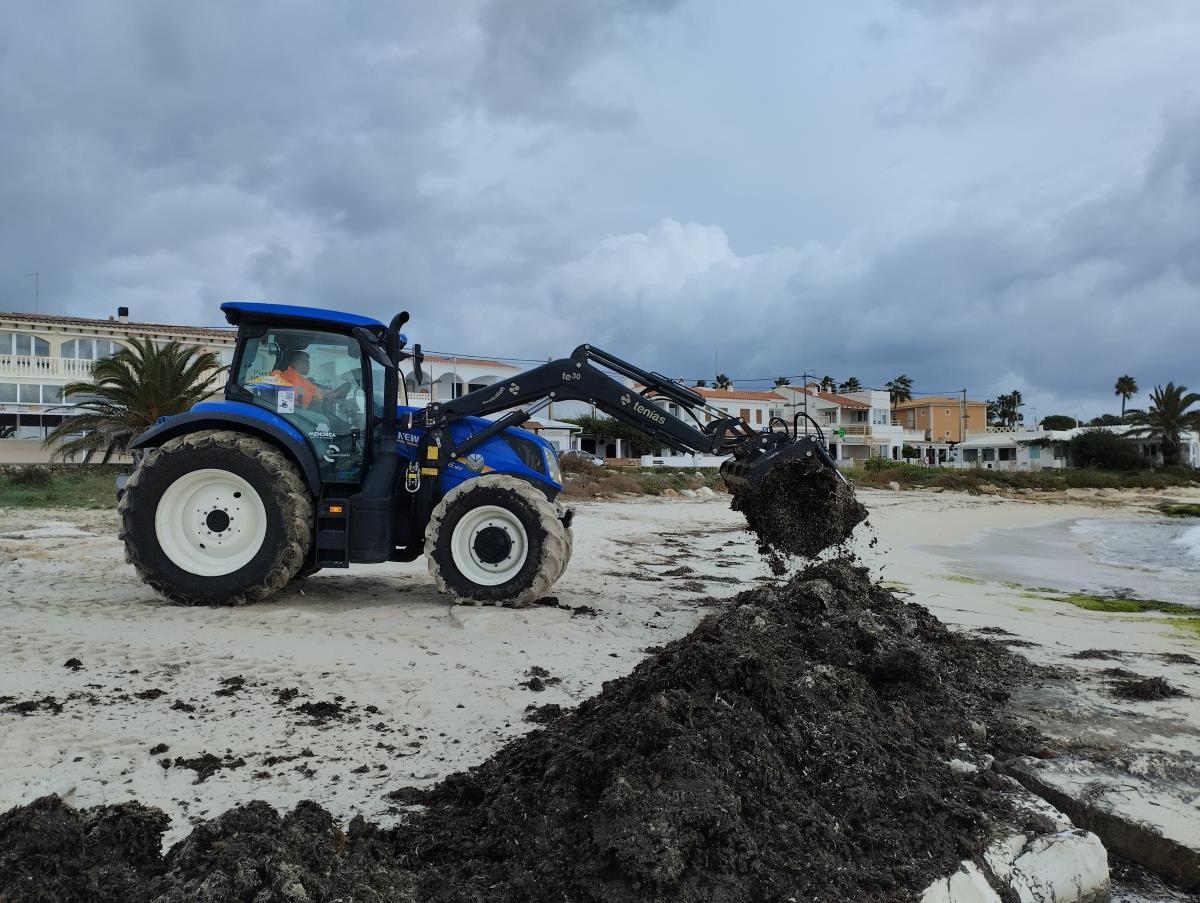 actualidad náutica, noticias náuticas, medio ambiente, posidonia, playas de menorca, cosell insular 