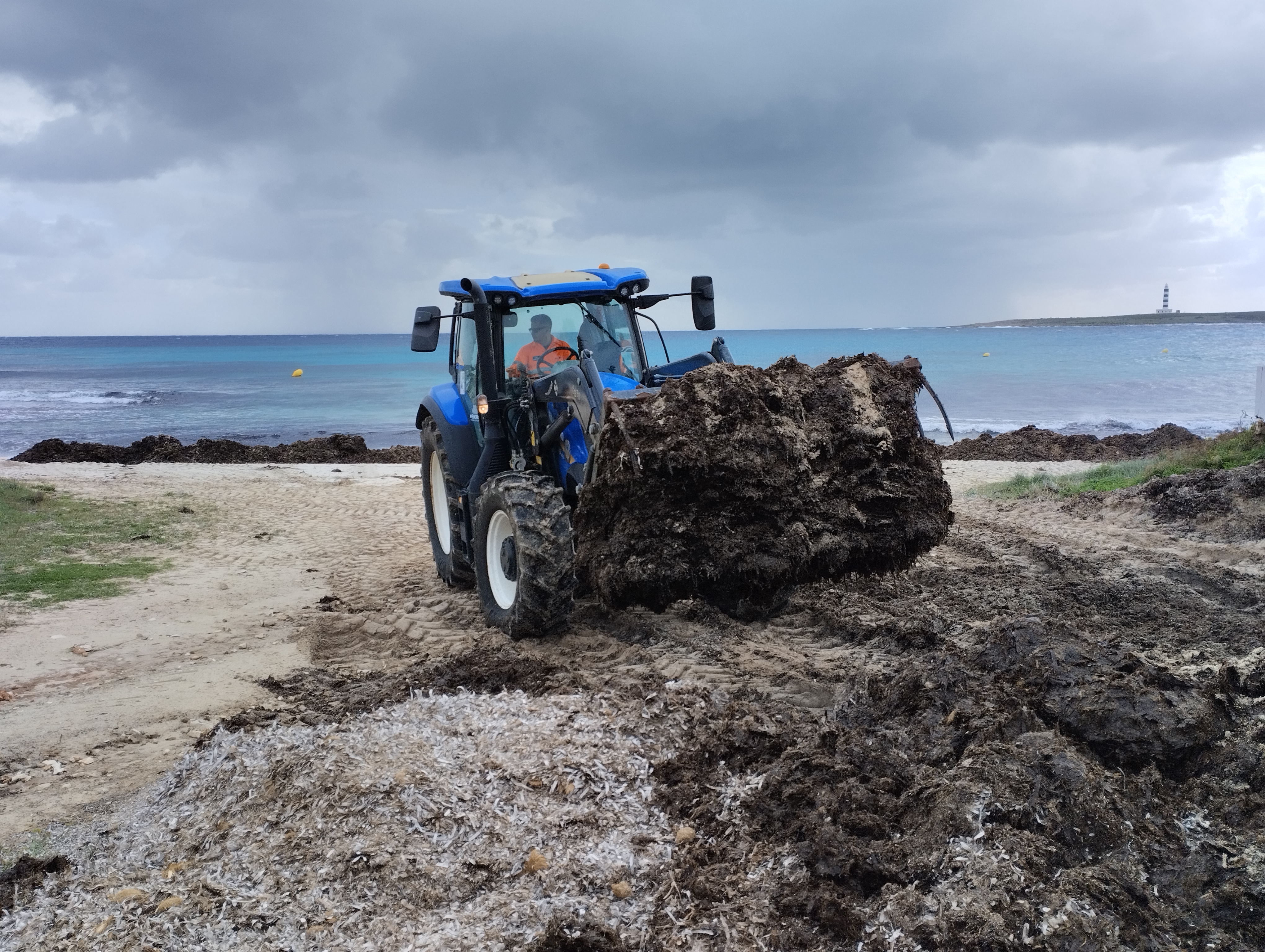 actualidad náutica, noticias náuticas, medio ambiente, posidonia, playas de menorca, cosell insular 