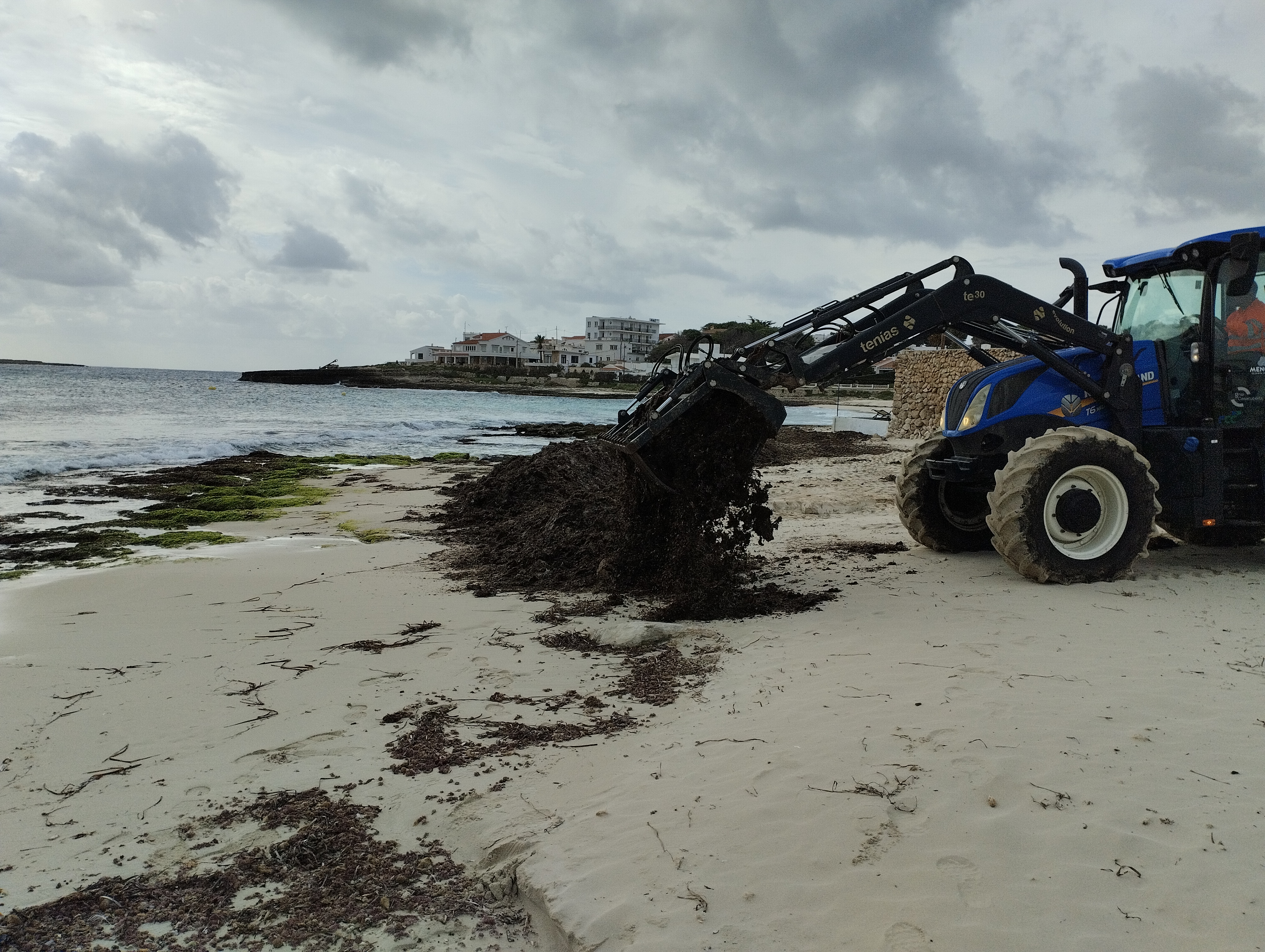 actualidad náutica, noticias náuticas, medio ambiente, posidonia, playas de menorca, cosell insular 