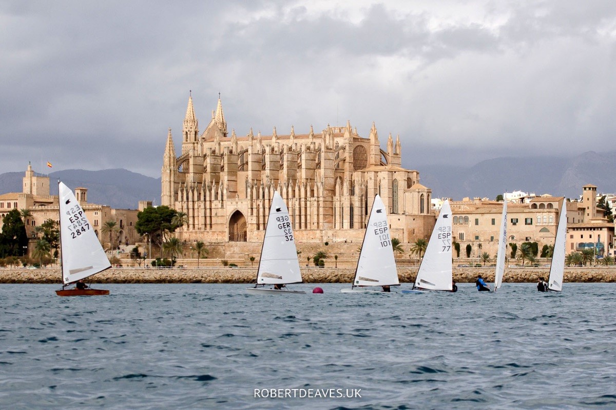 Palma Bay hosts the European Championship of the OK Dinghy class