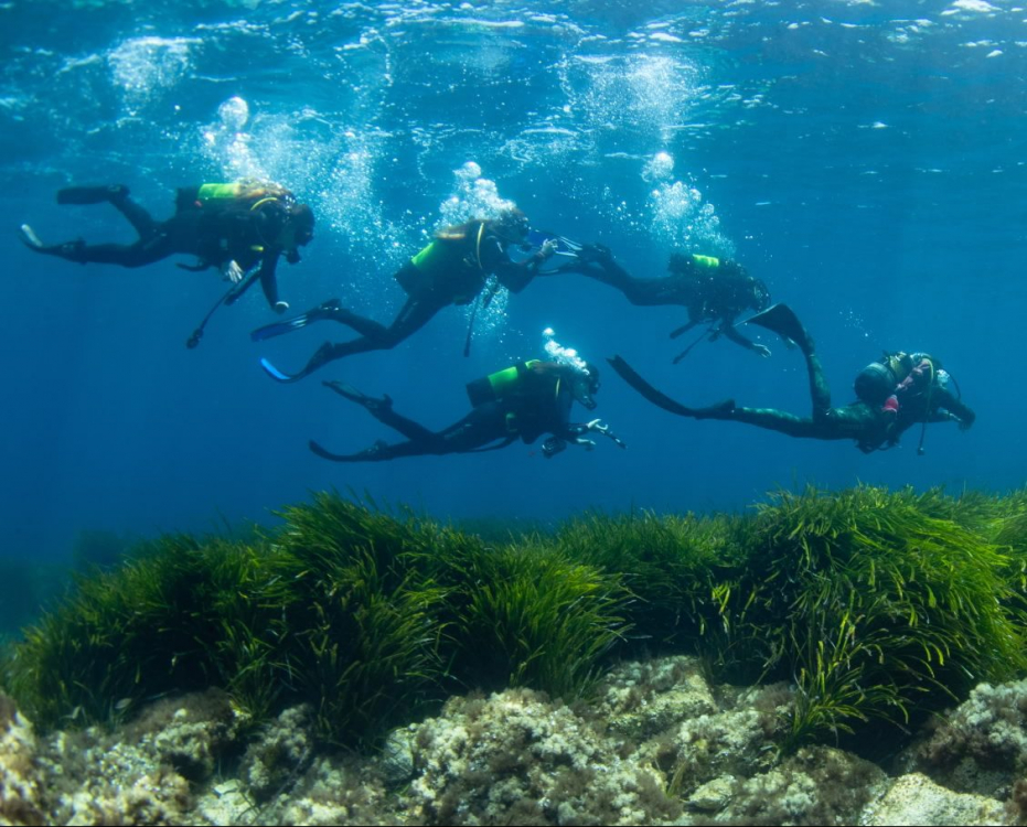 El Mallorca Dive Camp educa a las nuevas generaciones sobre biodiversidad marina